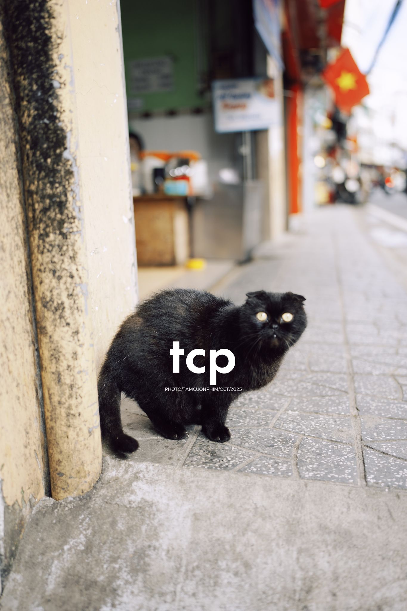 Tám Cuộn Phim - Khi cả đàn quyết định chiếm đóng vỉa hè phố núi