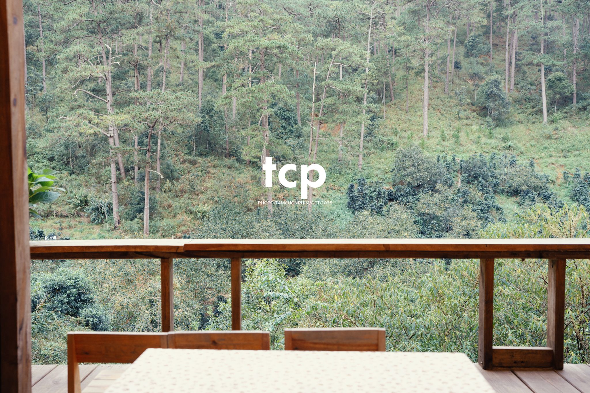 Tám Cuộn Phim - Khi cả đàn quyết định chiếm đóng vỉa hè phố núi