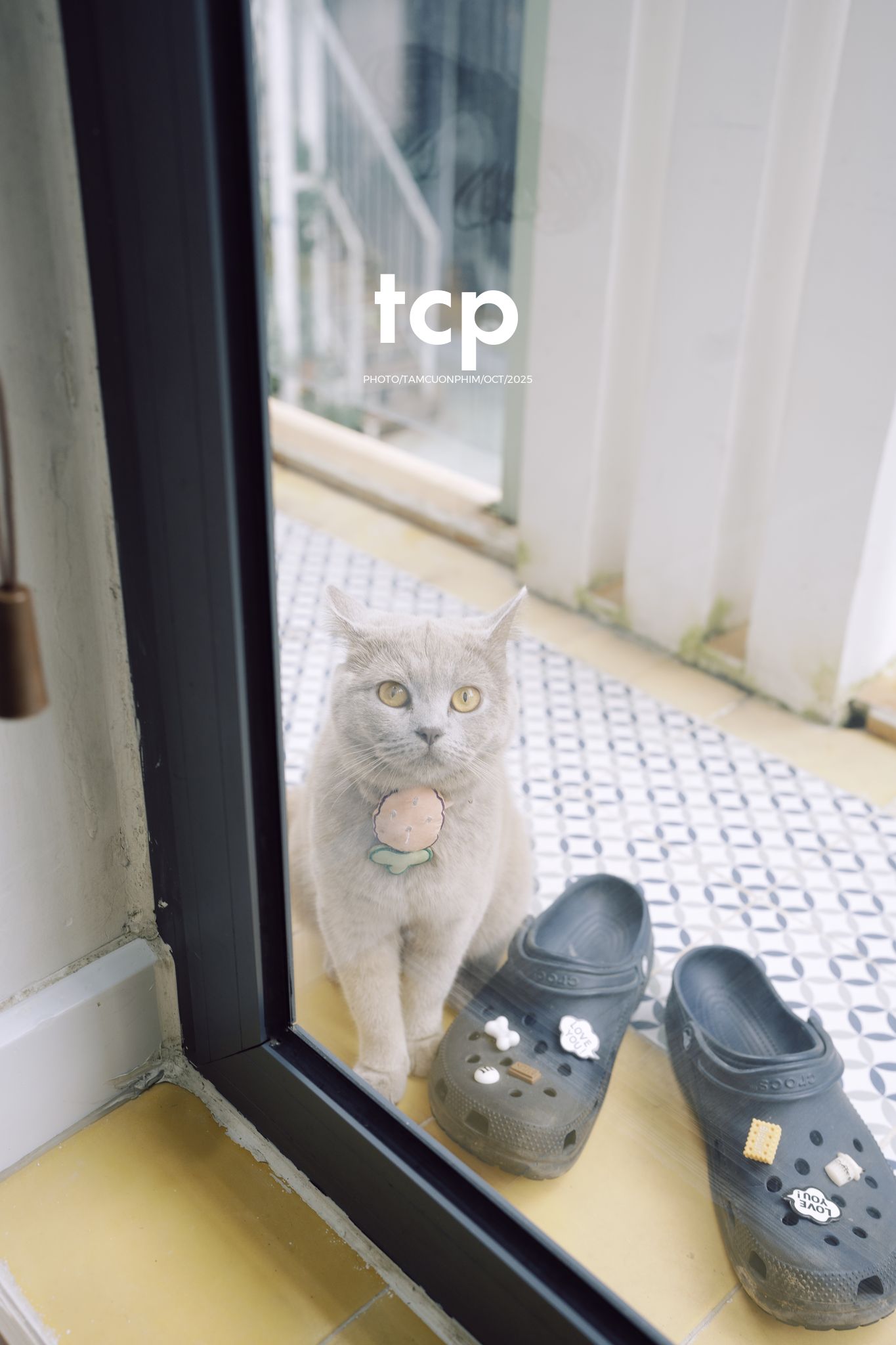 Tám Cuộn Phim - Khi cả đàn quyết định chiếm đóng vỉa hè phố núi