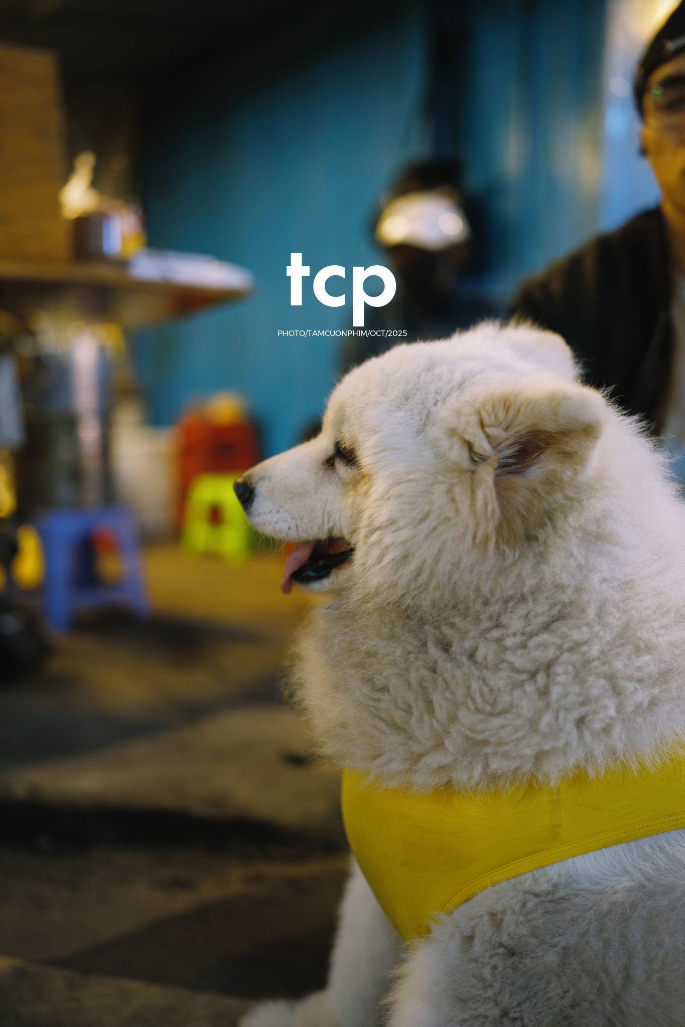 Tám Cuộn Phim - Khi cả đàn quyết định chiếm đóng vỉa hè phố núi