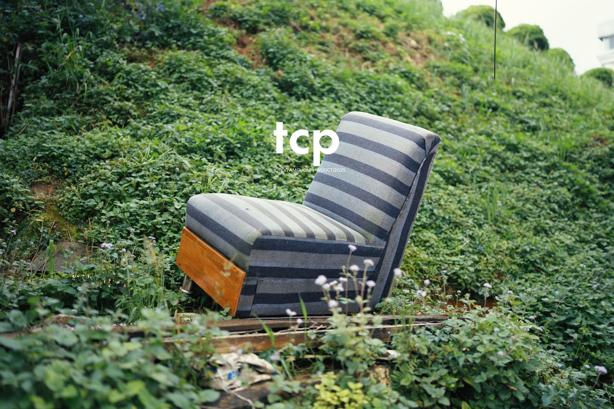 Tám Cuộn Phim - Những nhịp sống dịu dàng giữa lòng cao nguyên