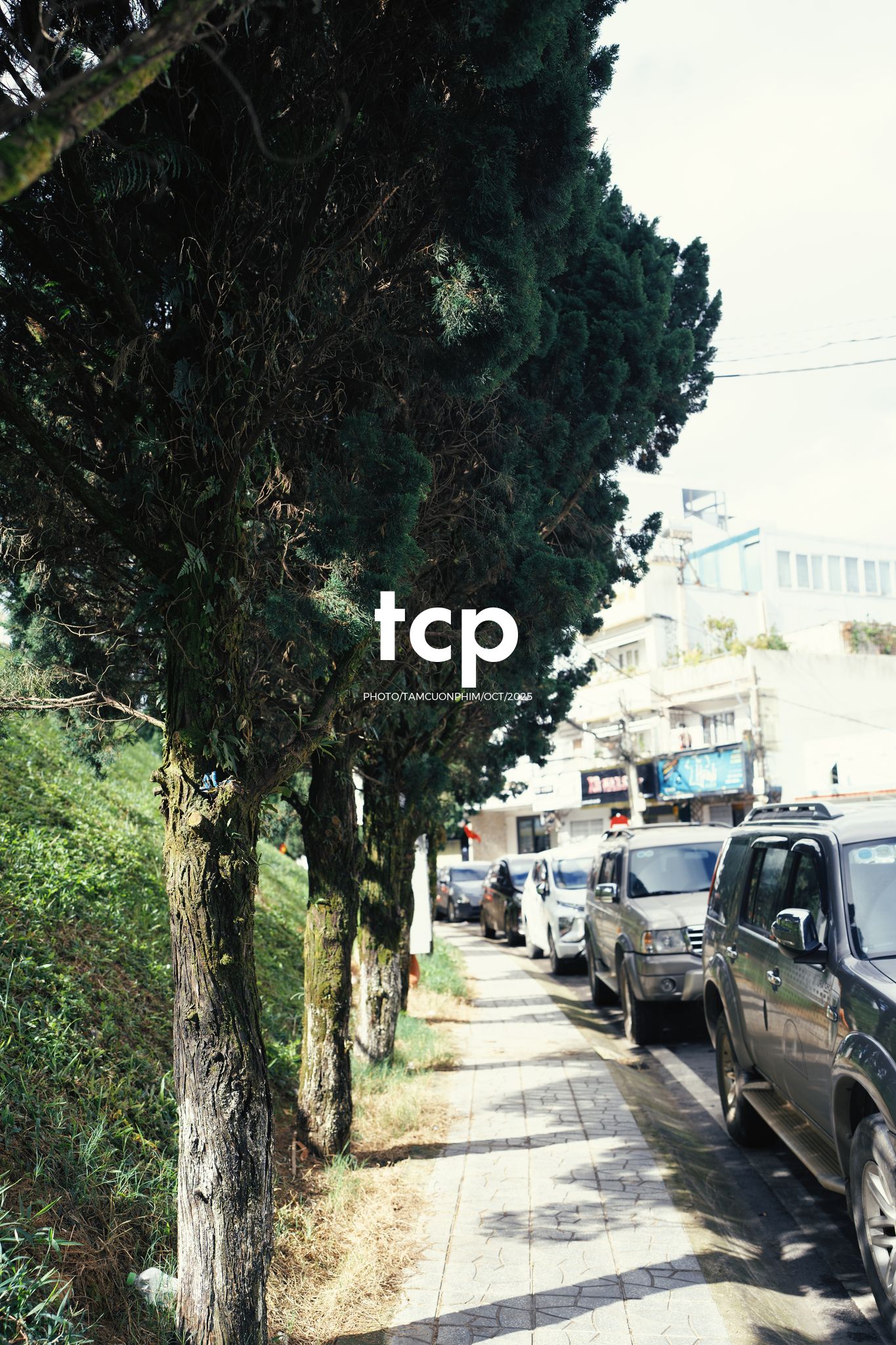 Tám Cuộn Phim - Những nhịp sống dịu dàng giữa lòng cao nguyên