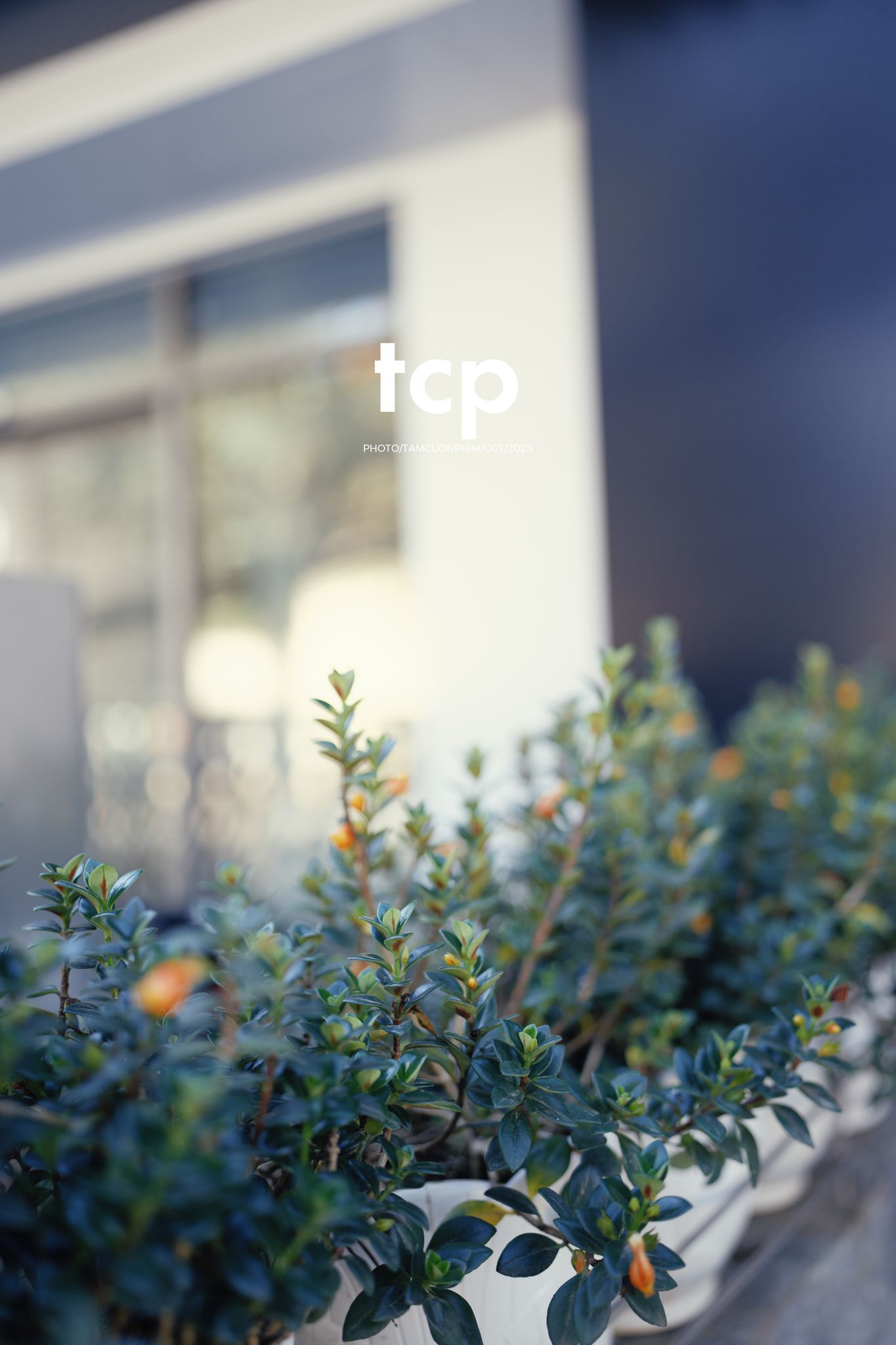 Tám Cuộn Phim - Những nhịp sống dịu dàng giữa lòng cao nguyên