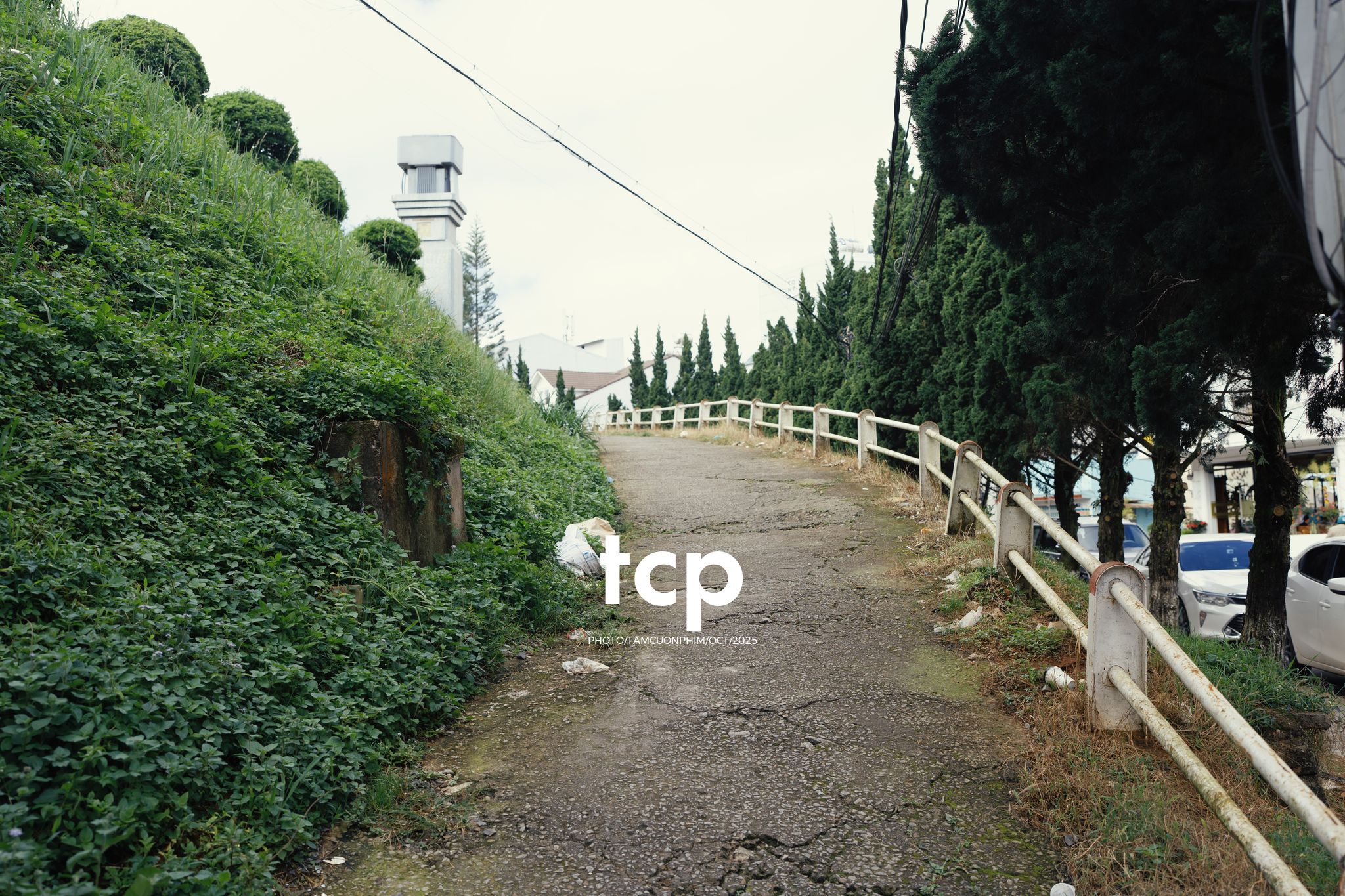 Tám Cuộn Phim - Những nhịp sống dịu dàng giữa lòng cao nguyên