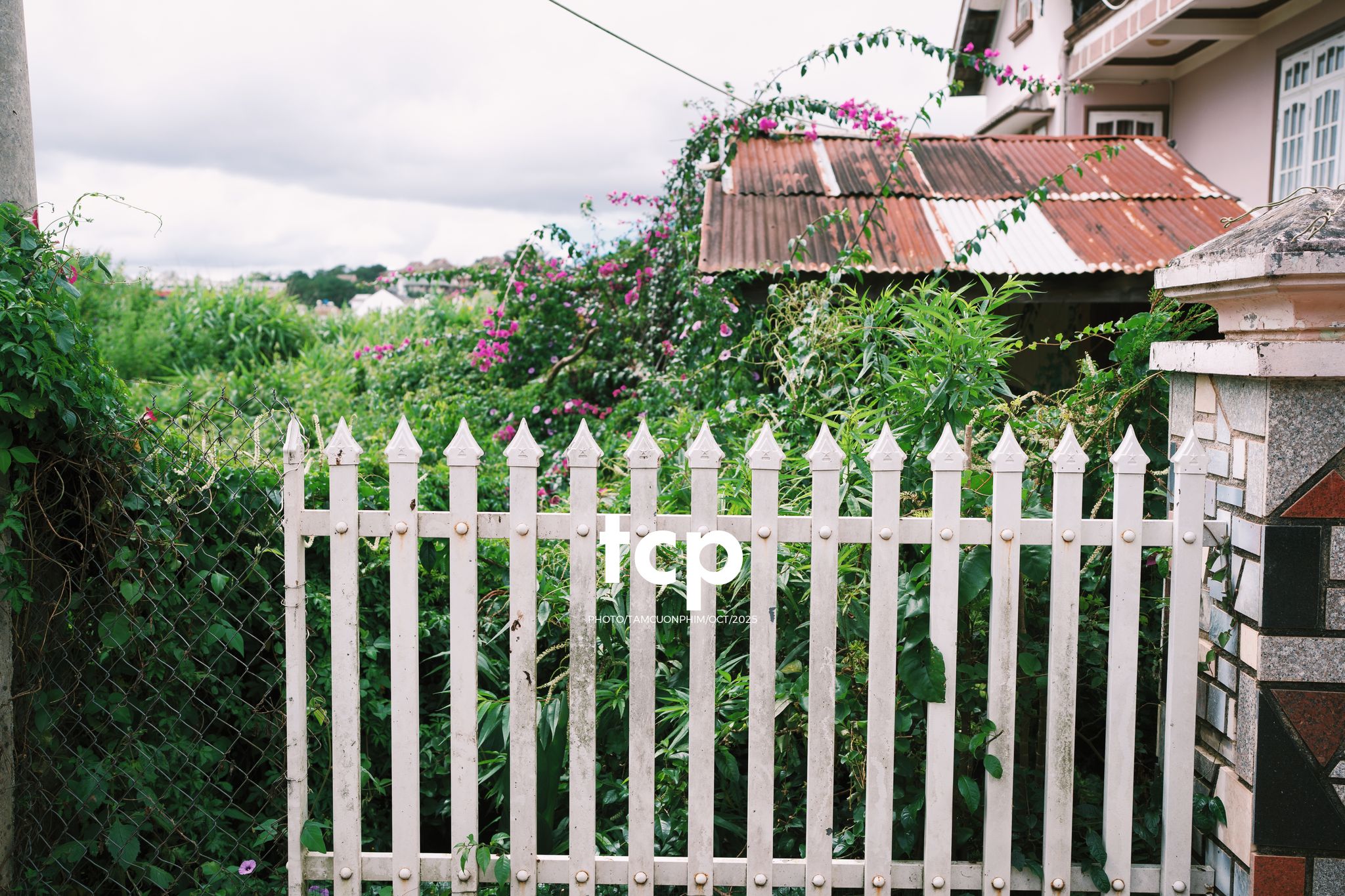 Tám Cuộn Phim - Những nhịp sống dịu dàng giữa lòng cao nguyên