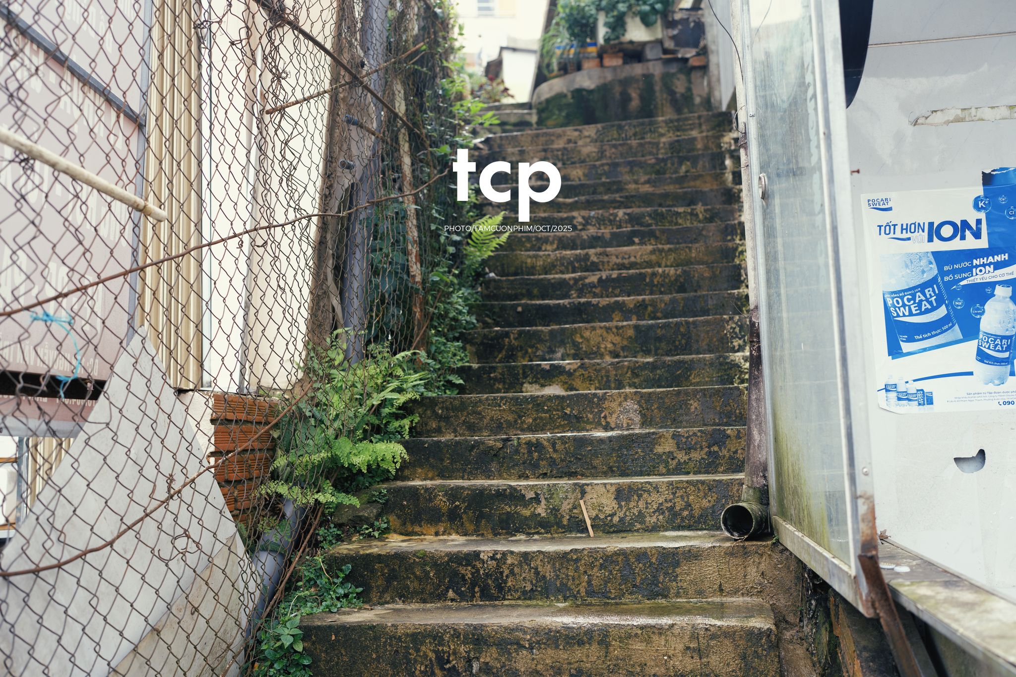 Tám Cuộn Phim - Những nhịp sống dịu dàng giữa lòng cao nguyên