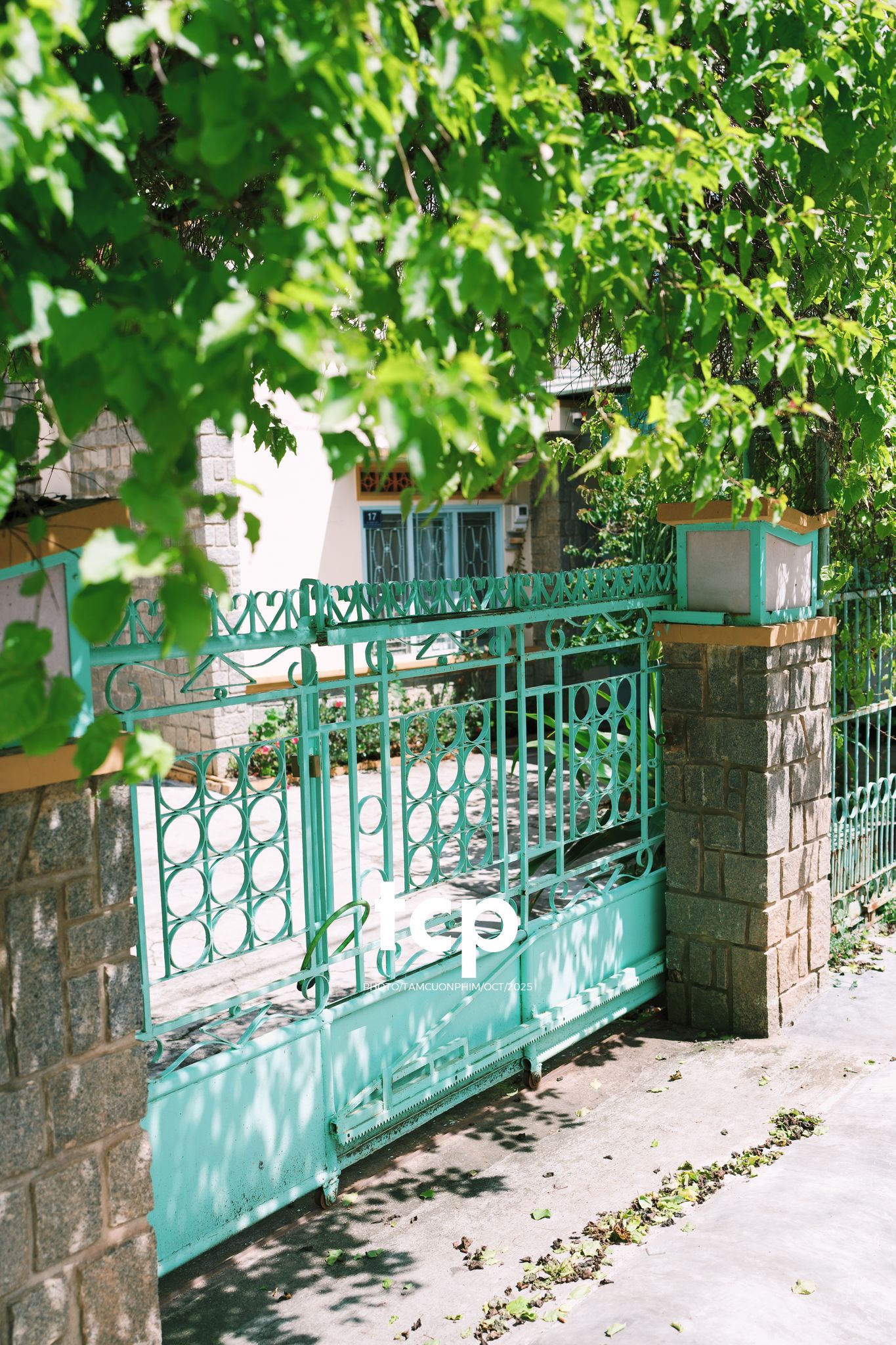 Tám Cuộn Phim - Những nhịp sống dịu dàng giữa lòng cao nguyên