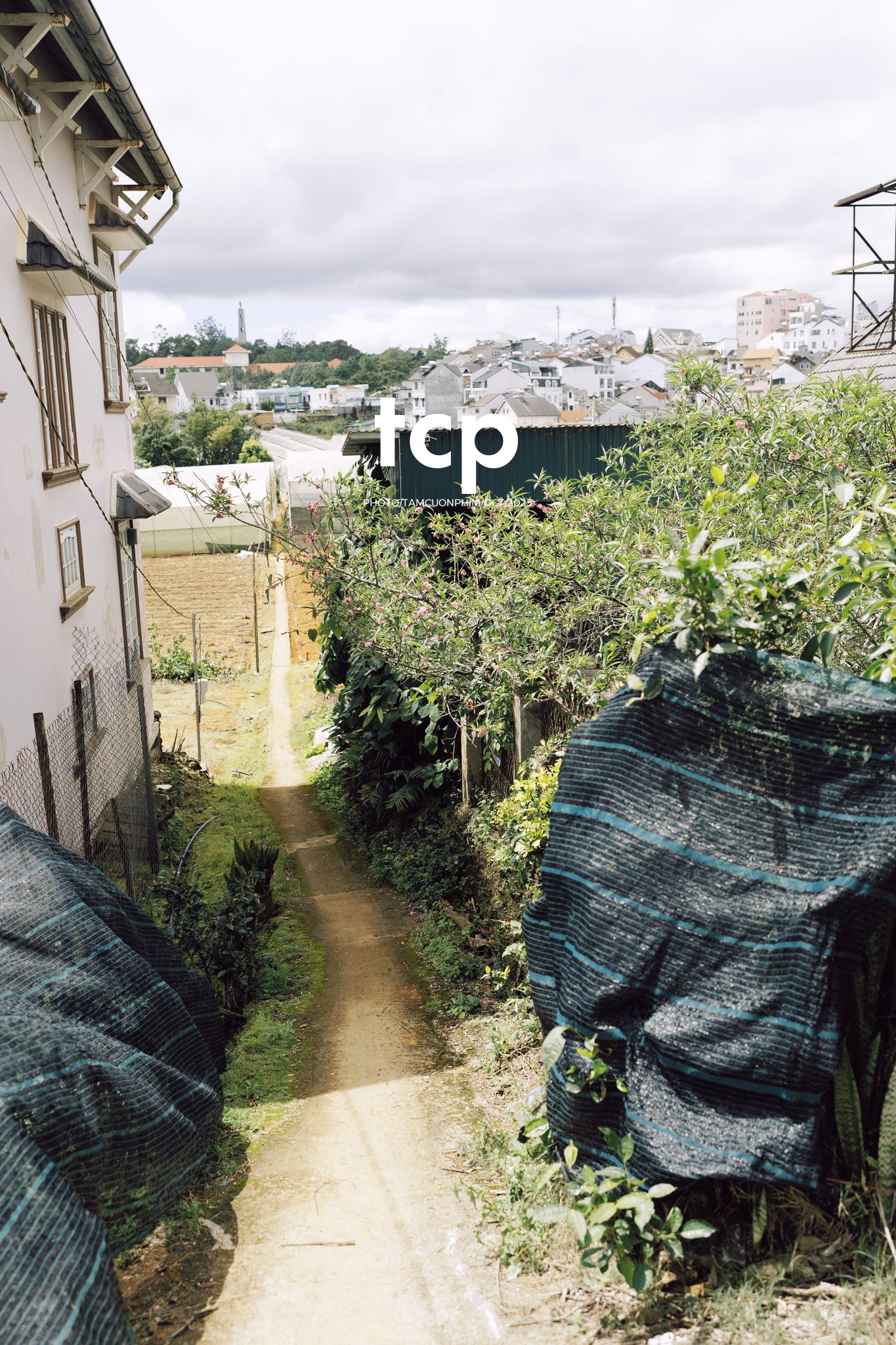 Tám Cuộn Phim - Những nhịp sống dịu dàng giữa lòng cao nguyên