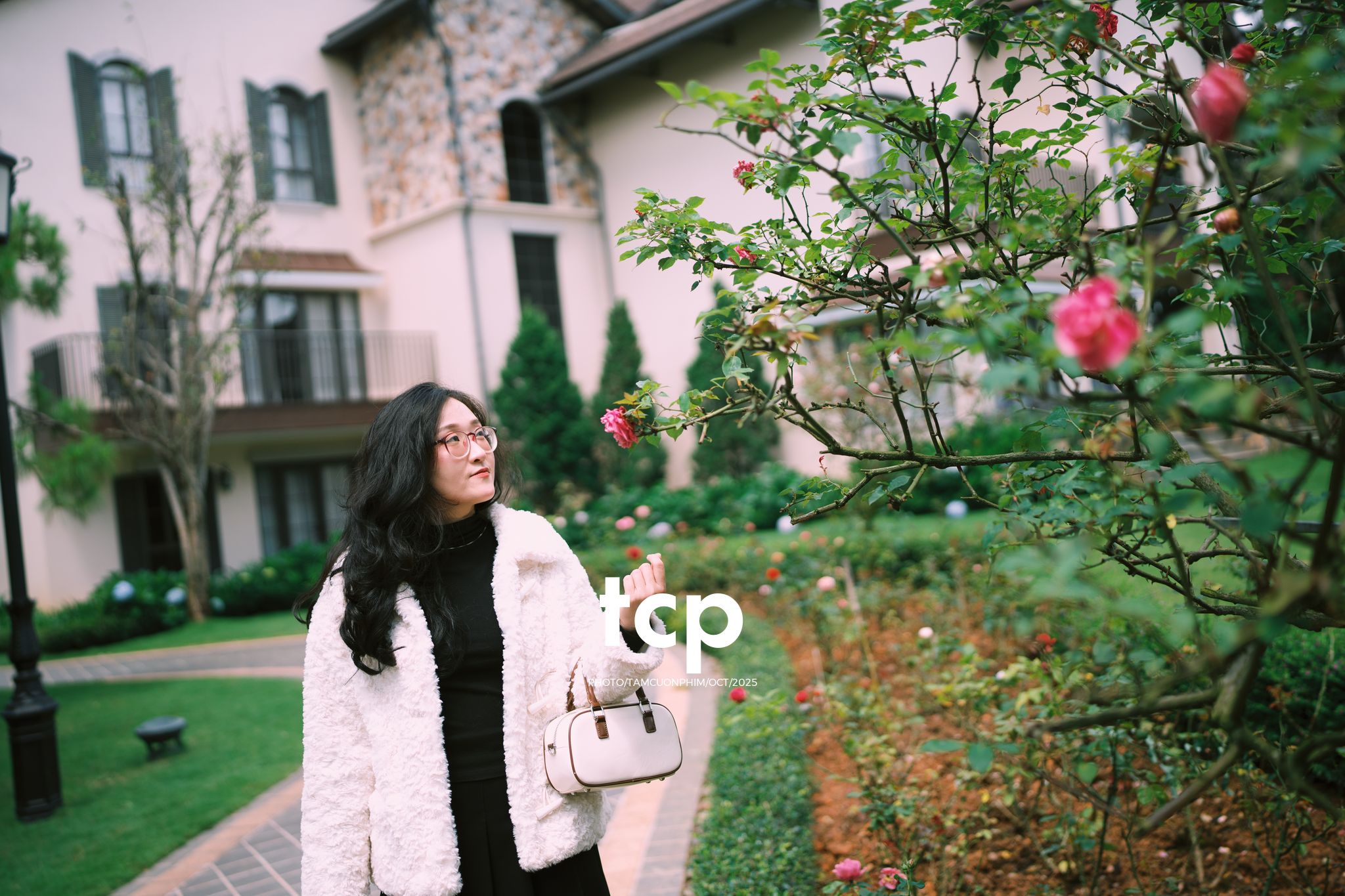 Tám Cuộn Phim - Hơi lạnh cao nguyên trong nắng sớm