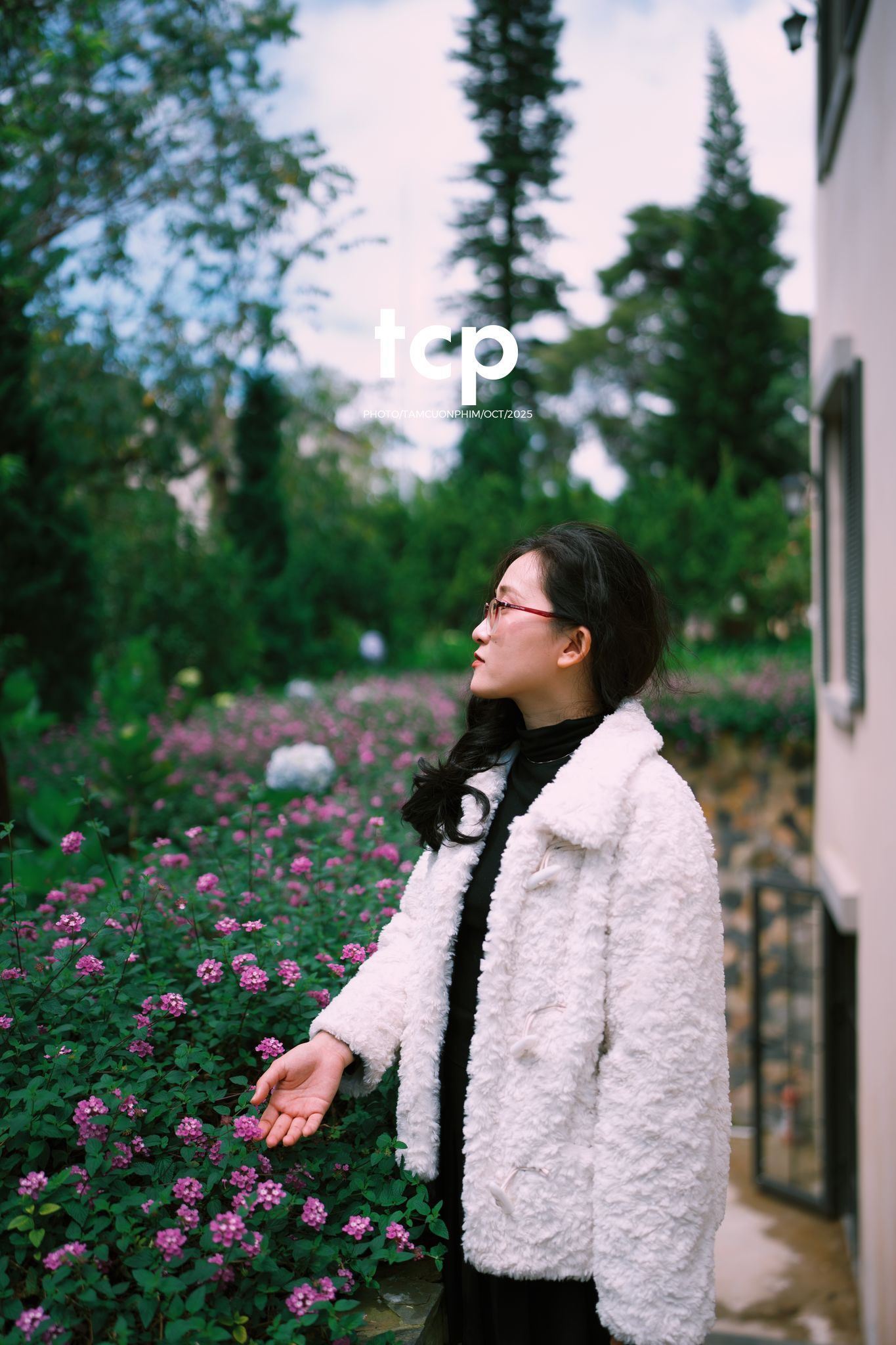 Tám Cuộn Phim - Hơi lạnh cao nguyên trong nắng sớm