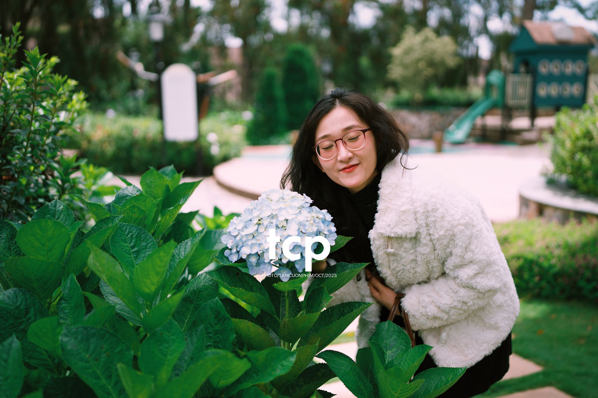 Tám Cuộn Phim - Hơi lạnh cao nguyên trong nắng sớm