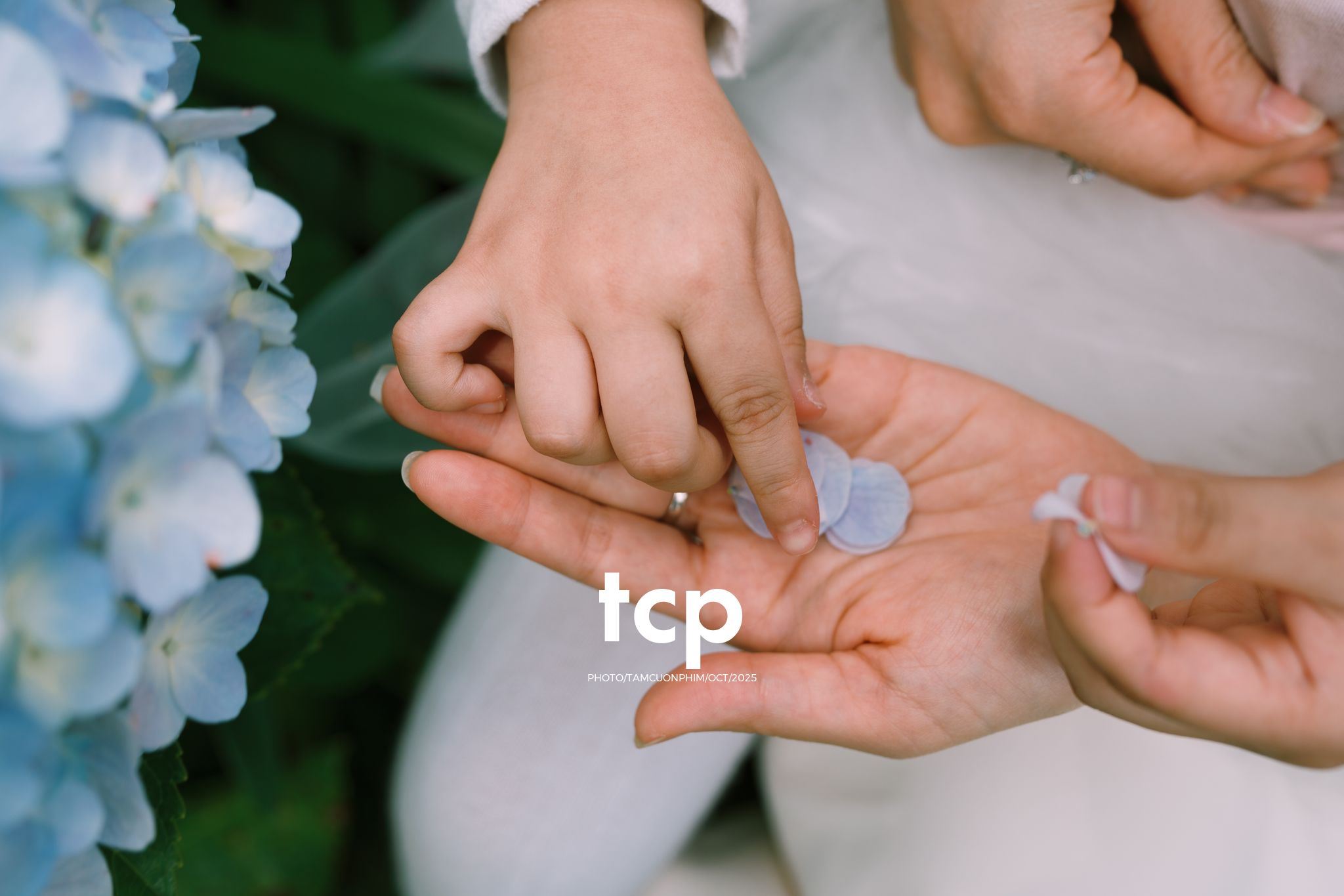 Tám Cuộn Phim - KHOẢNG TRỜI RIÊNG GIỮA MIỀN CẢNH QUAN