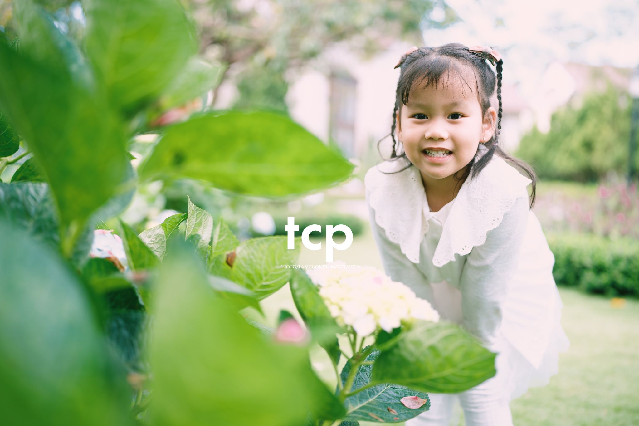 Tám Cuộn Phim - KHOẢNG TRỜI RIÊNG GIỮA MIỀN CẢNH QUAN