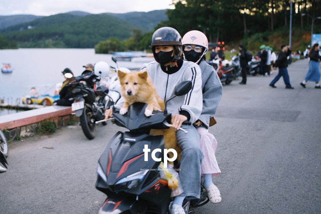 Tám Cuộn Phim - Xếp lại ống kính và chiếc bánh tráng nướng vẫn còn nóng hổi