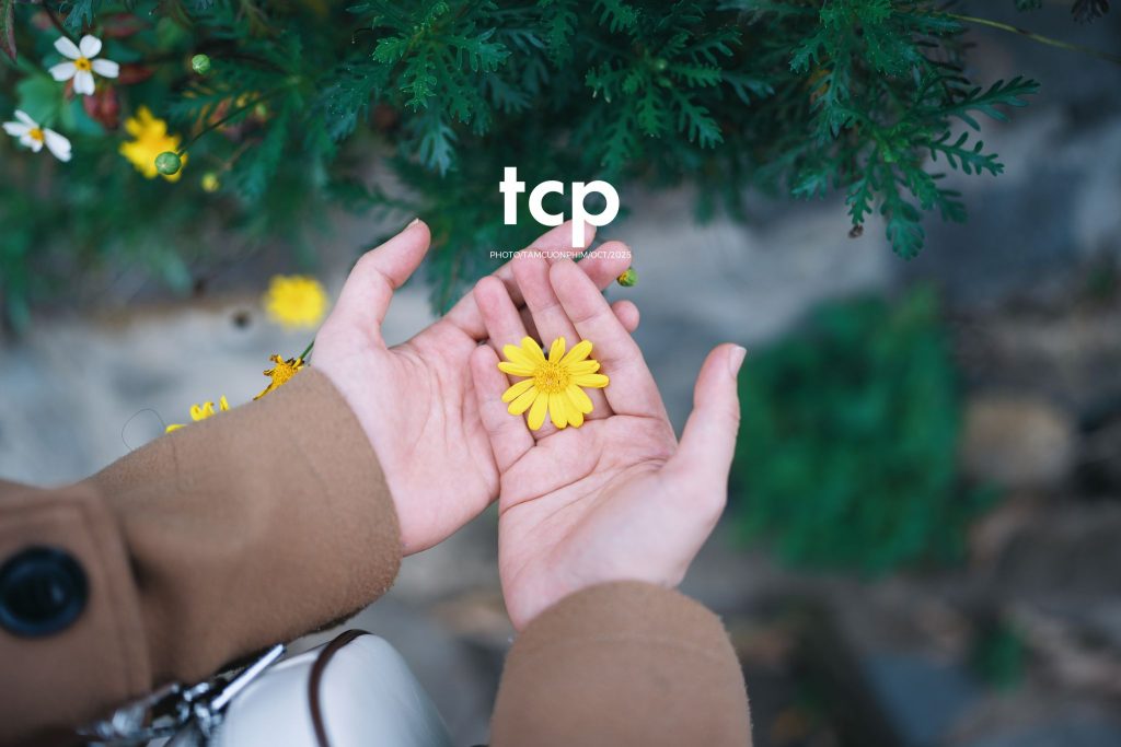 Tám Cuộn Phim - Xếp lại ống kính và chiếc bánh tráng nướng vẫn còn nóng hổi