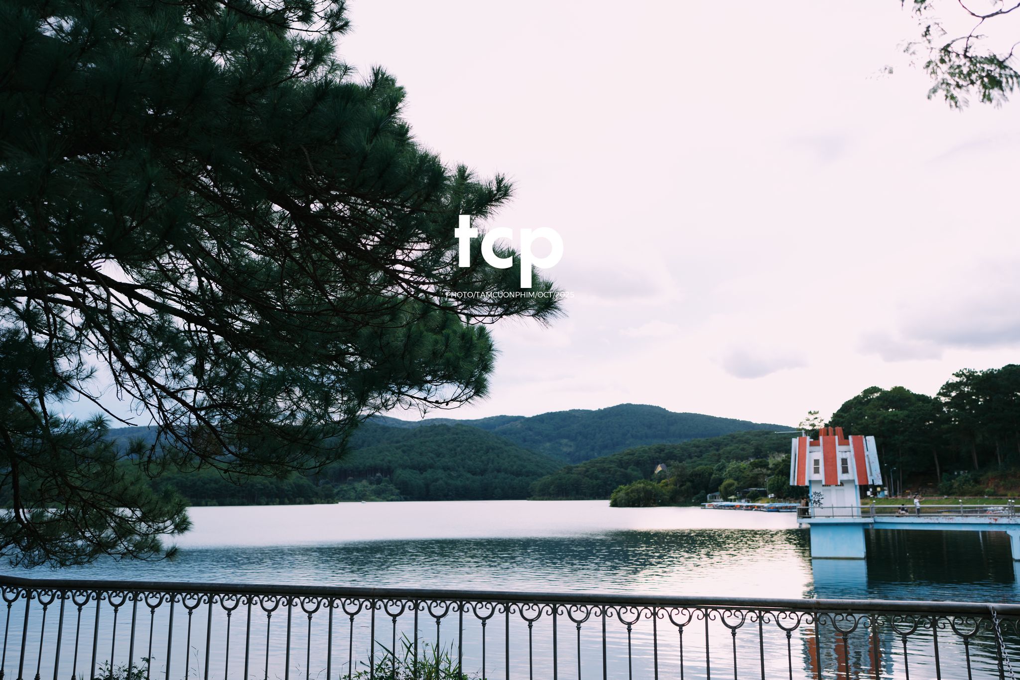 Tám Cuộn Phim - Xếp lại ống kính và chiếc bánh tráng nướng vẫn còn nóng hổi