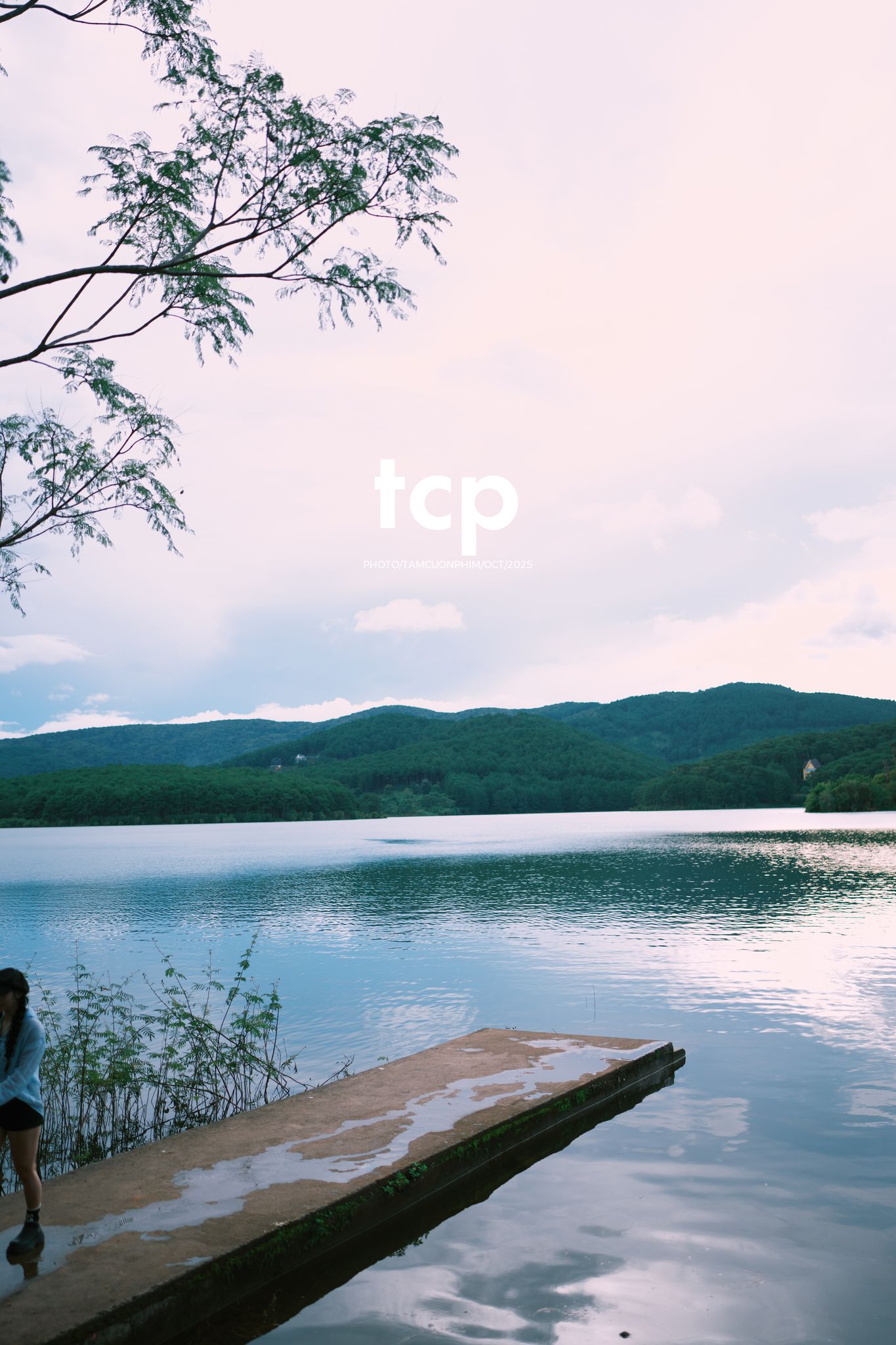 Tám Cuộn Phim - Xếp lại ống kính và chiếc bánh tráng nướng vẫn còn nóng hổi