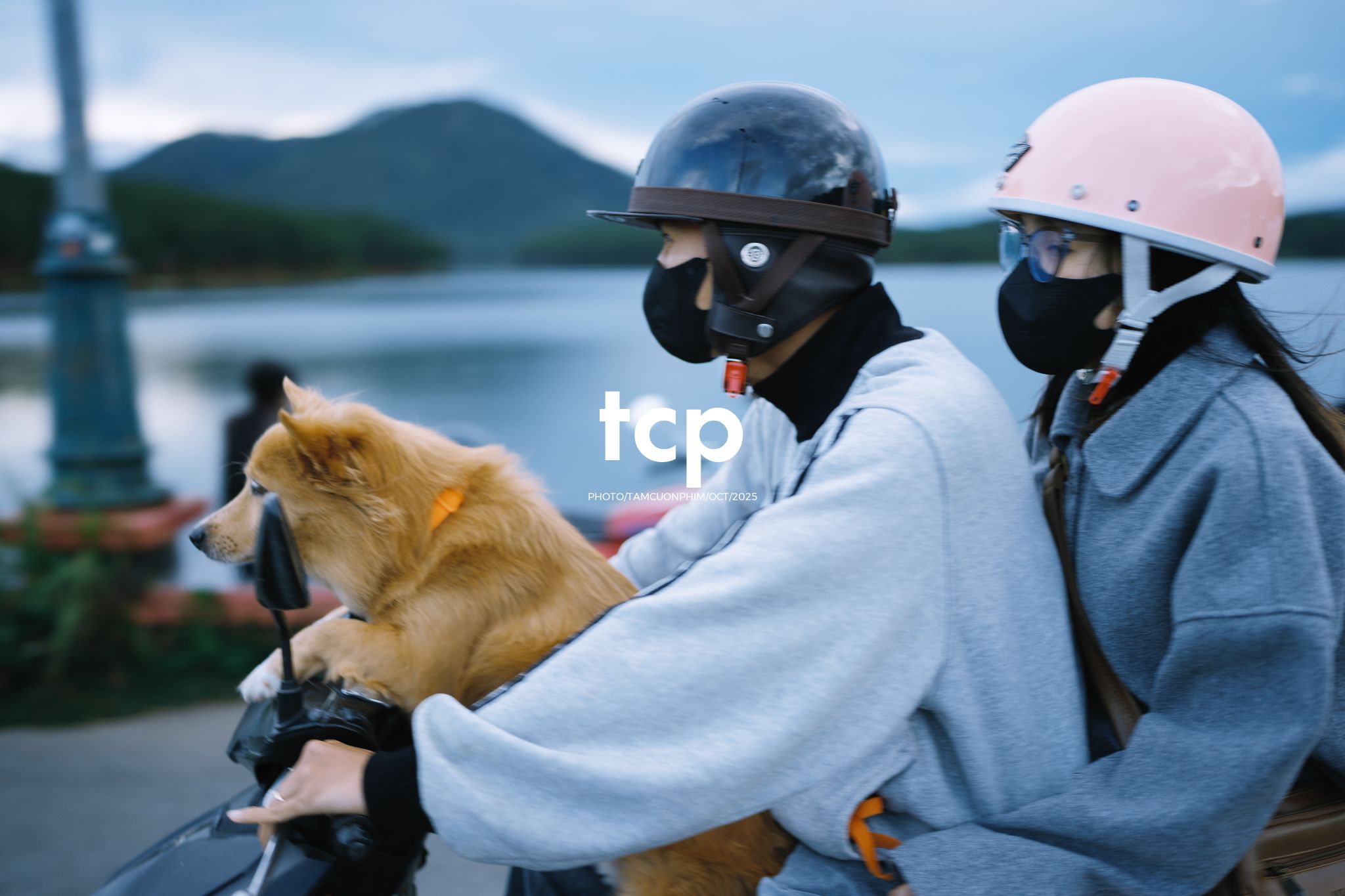 Tám Cuộn Phim - Xếp lại ống kính và chiếc bánh tráng nướng vẫn còn nóng hổi