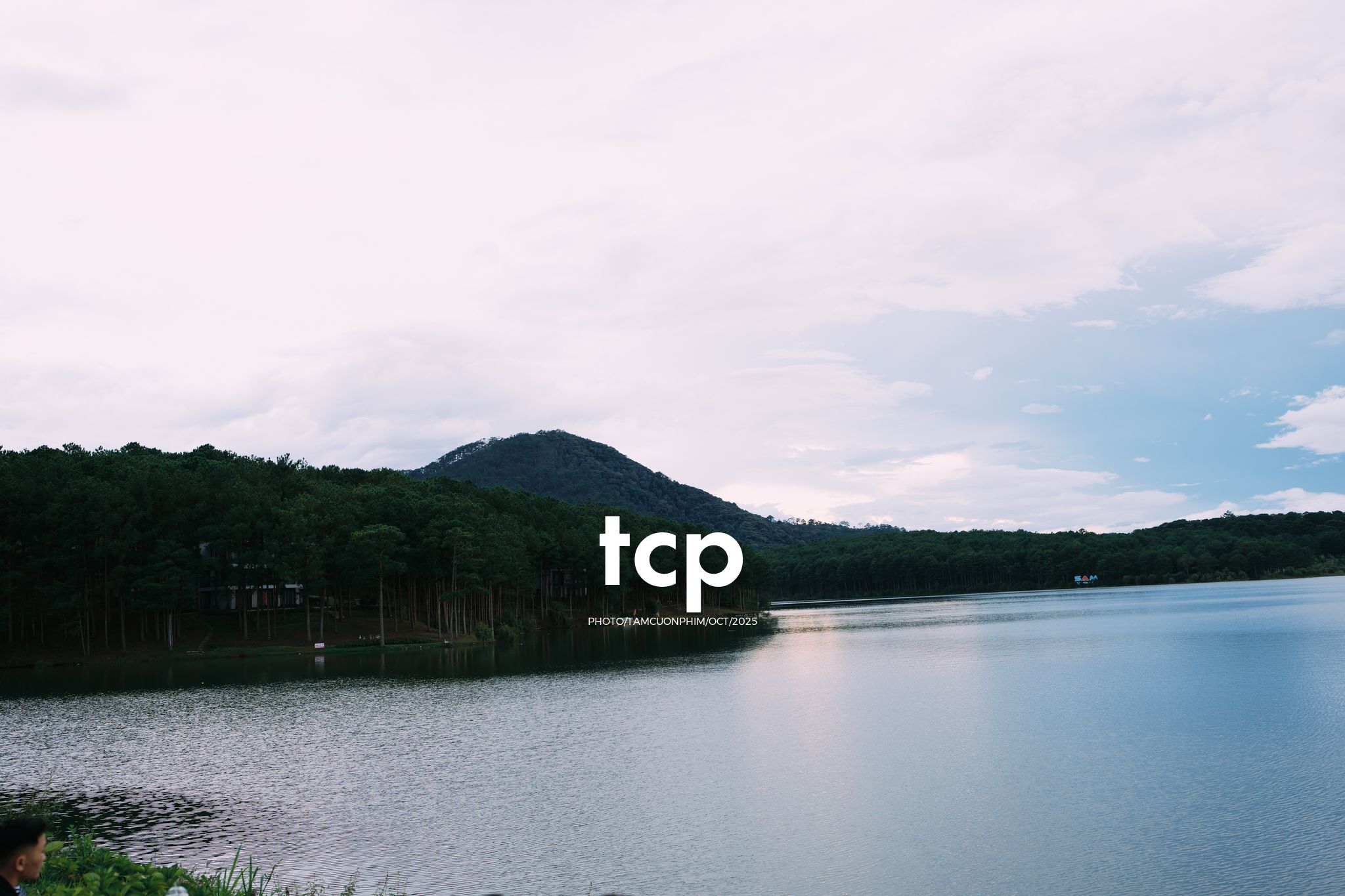 Tám Cuộn Phim - Xếp lại ống kính và chiếc bánh tráng nướng vẫn còn nóng hổi