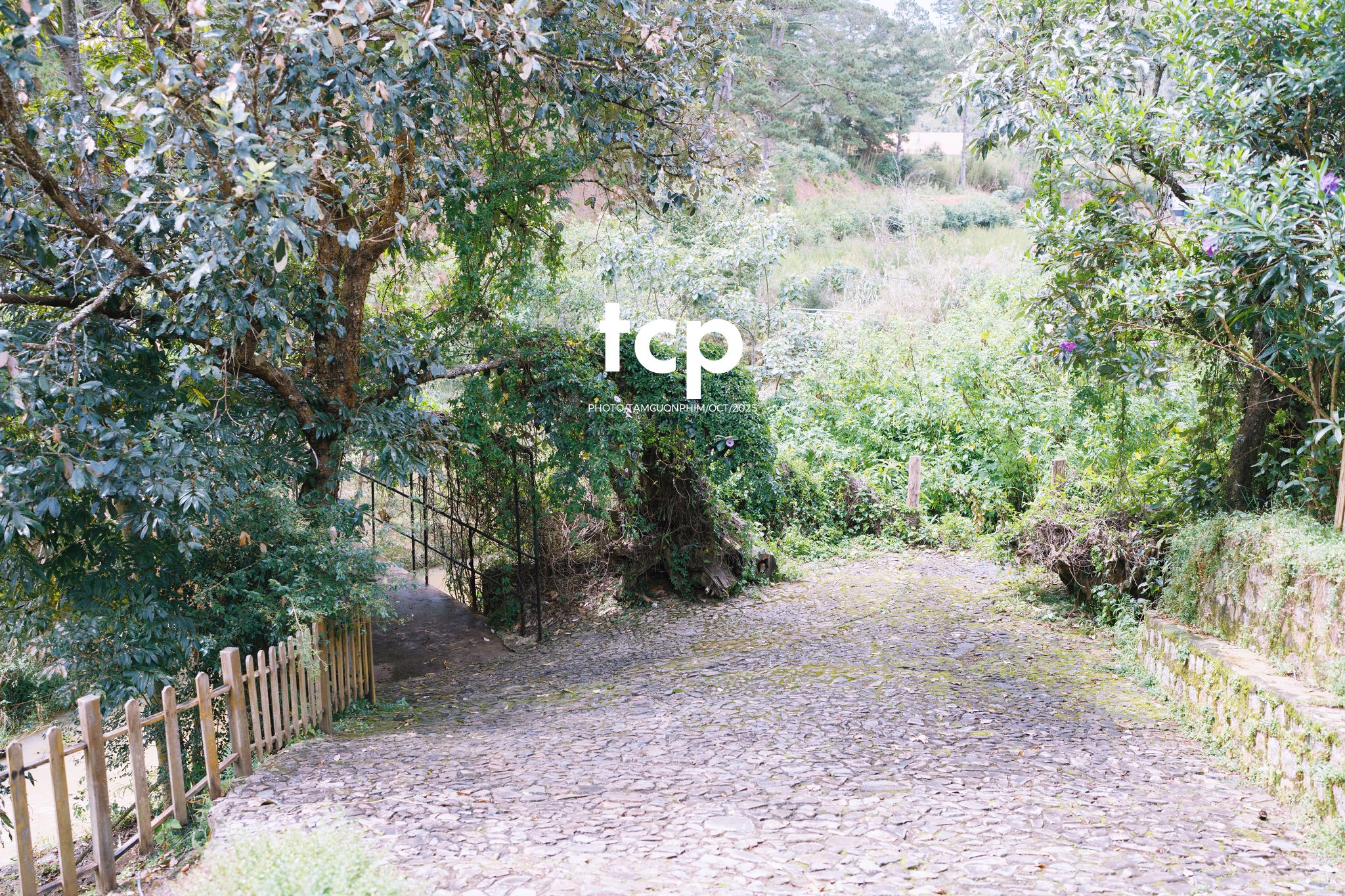 Tám Cuộn Phim - Ai mà chẳng muốn một lần trốn phố lên rừng để tìm chút bình yên?