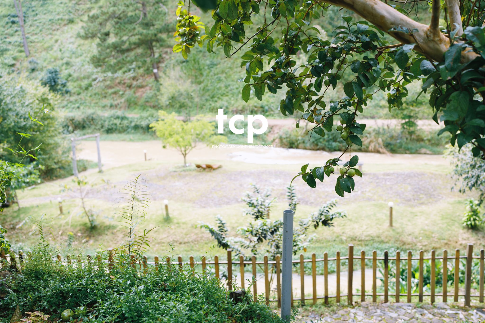 Tám Cuộn Phim - Ai mà chẳng muốn một lần trốn phố lên rừng để tìm chút bình yên?