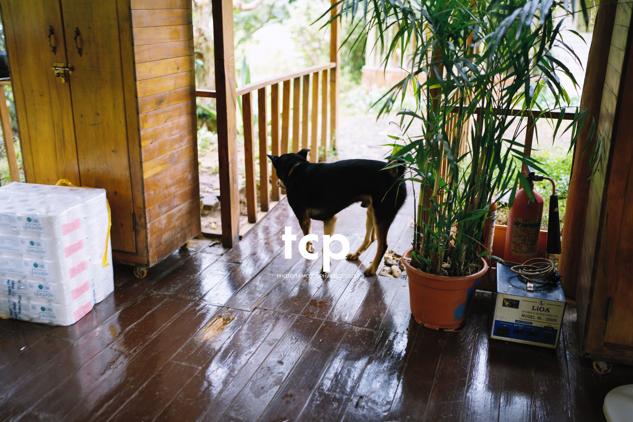 Tám Cuộn Phim - Ai mà chẳng muốn một lần trốn phố lên rừng để tìm chút bình yên?