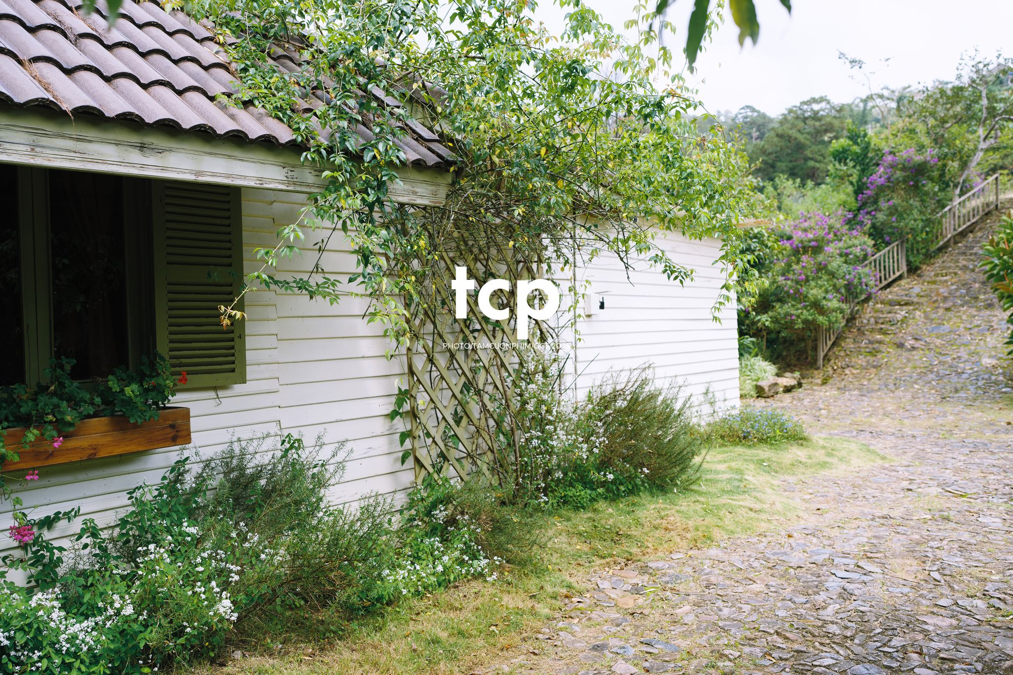 Tám Cuộn Phim - Ai mà chẳng muốn một lần trốn phố lên rừng để tìm chút bình yên?