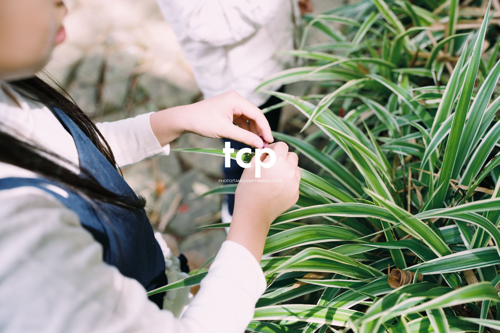 Tám Cuộn Phim - Chuyến "đi trốn" Đà Lạt siêu cưng của cả nhà