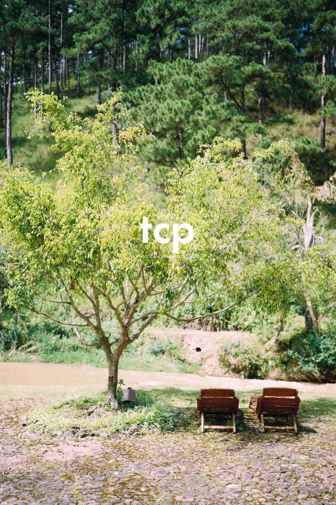 Tám Cuộn Phim - Chuyến "đi trốn" Đà Lạt siêu cưng của cả nhà