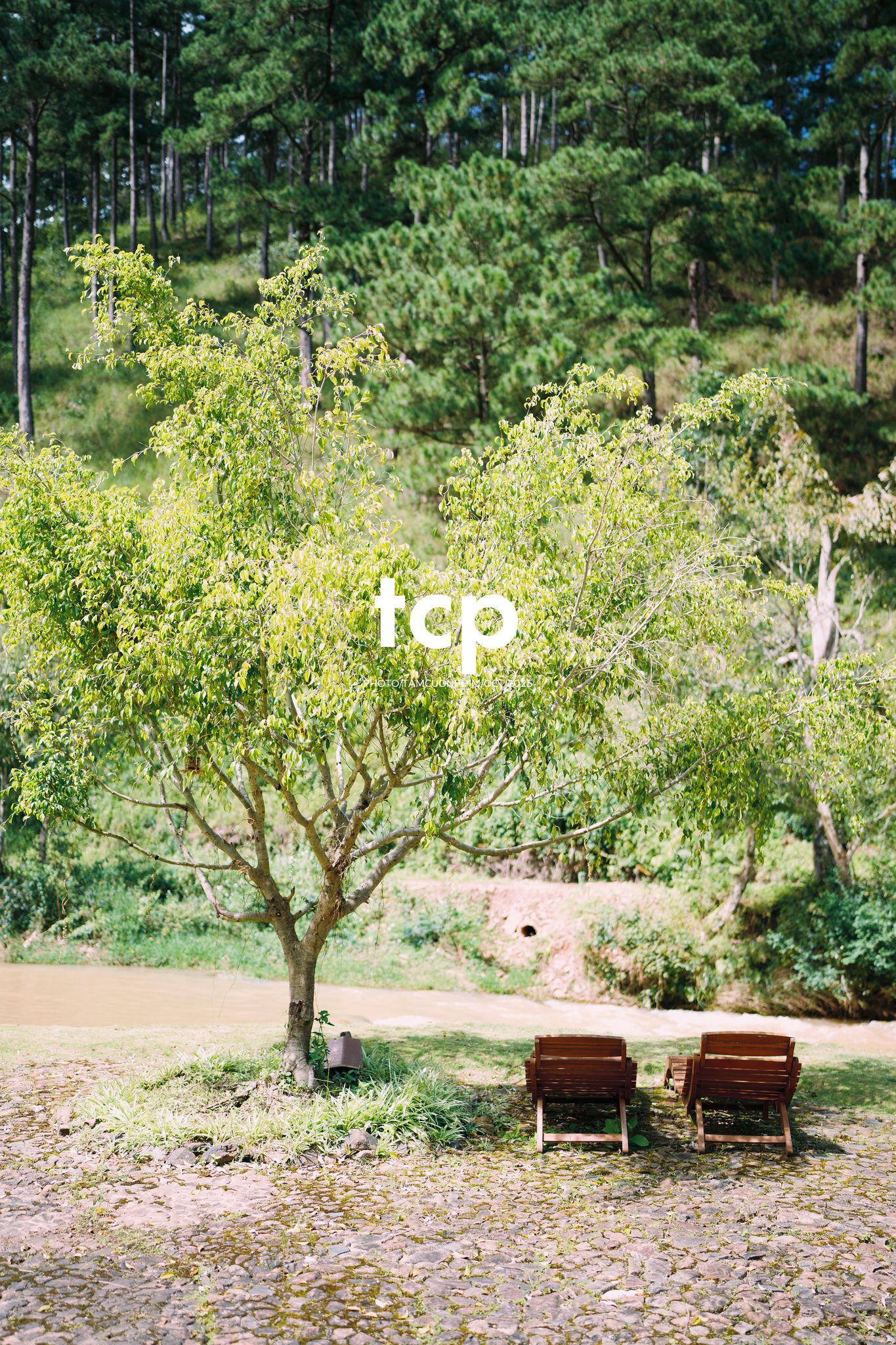 Tám Cuộn Phim - Chuyến "đi trốn" Đà Lạt siêu cưng của cả nhà