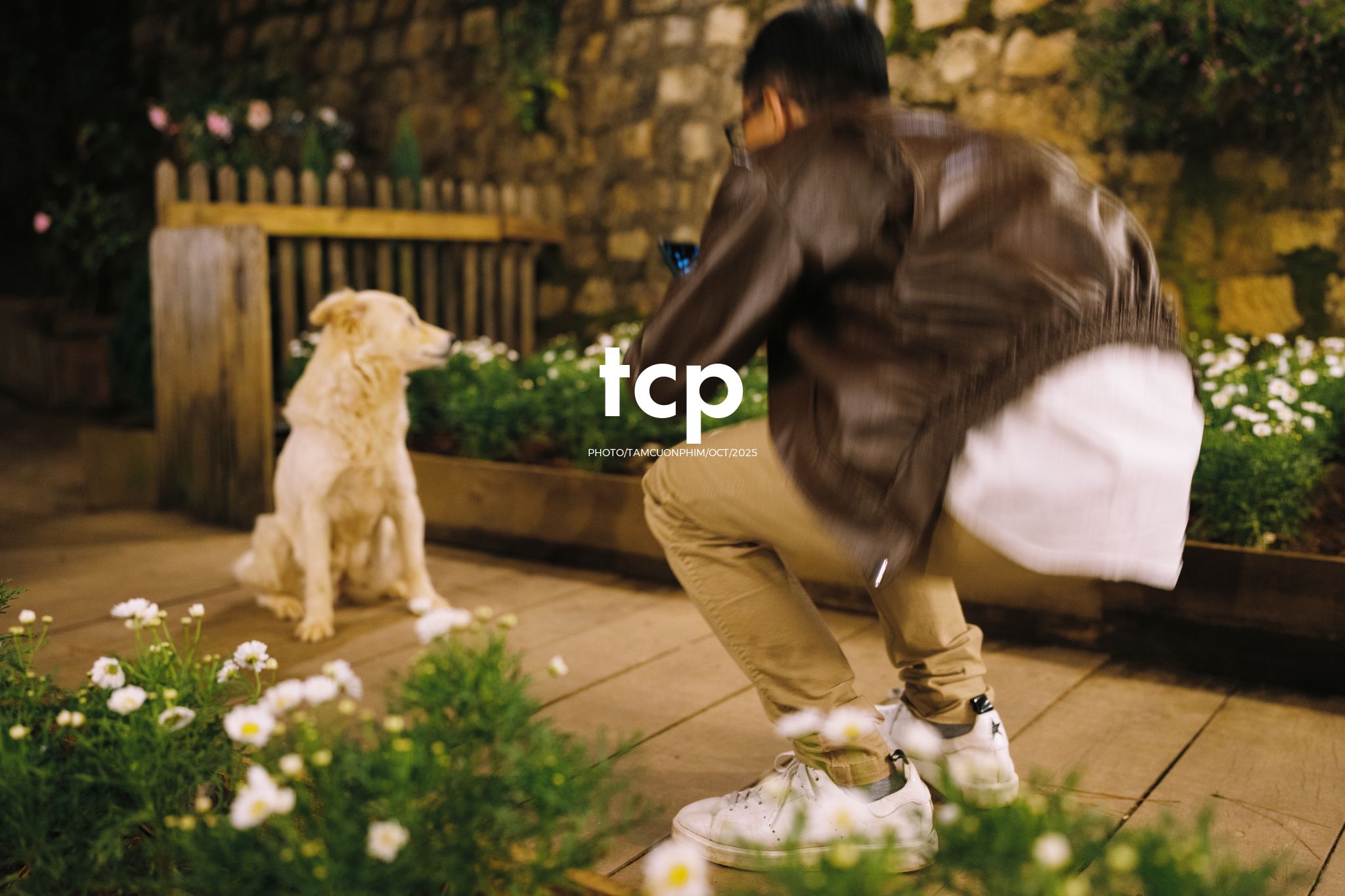 Tám Cuộn Phim - Khi chàng trai "hướng nội" đi chill cùng hội bạn bốn chân