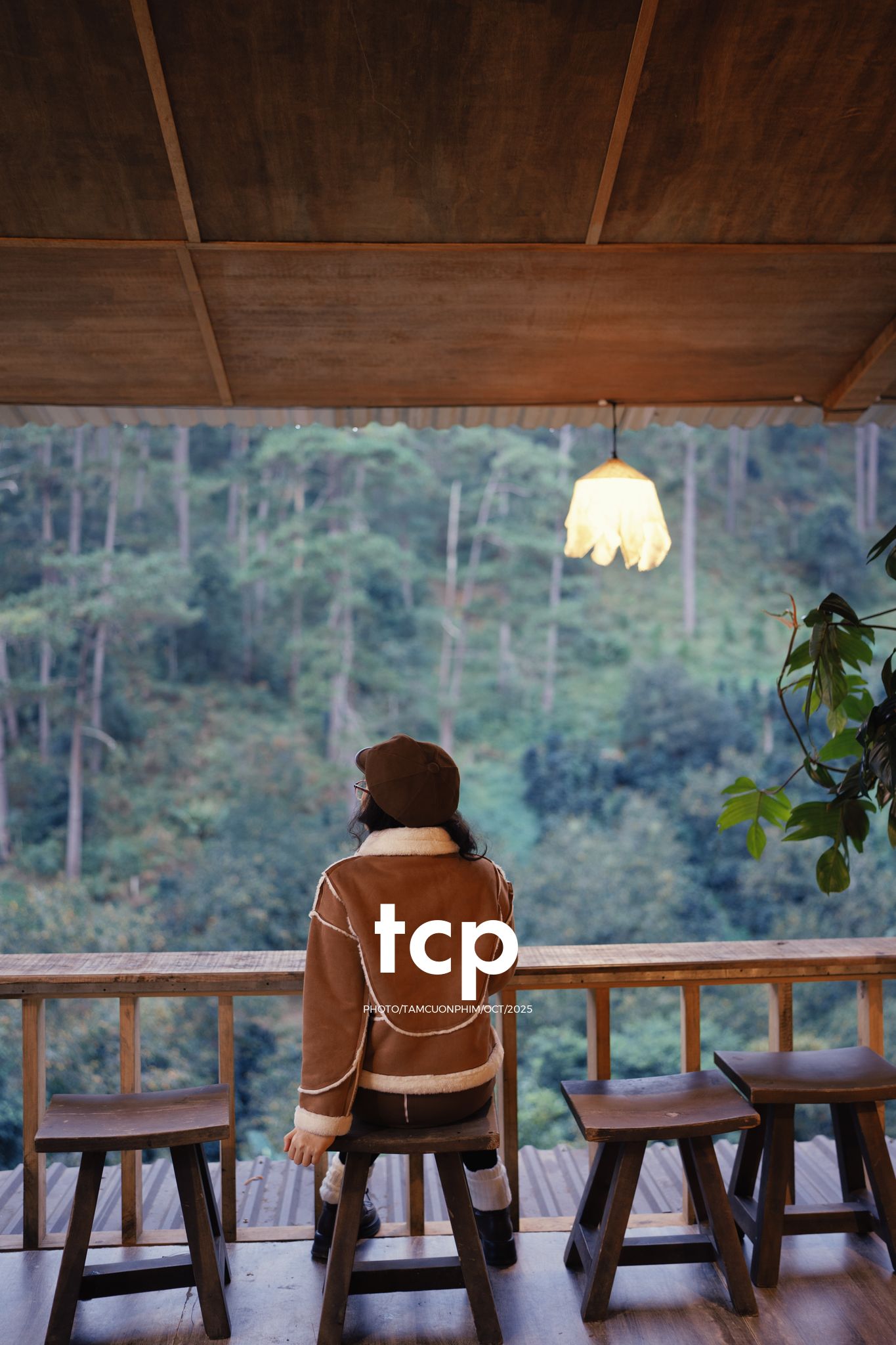 Tám Cuộn Phim - Sương lạnh và áo khoác da lộn