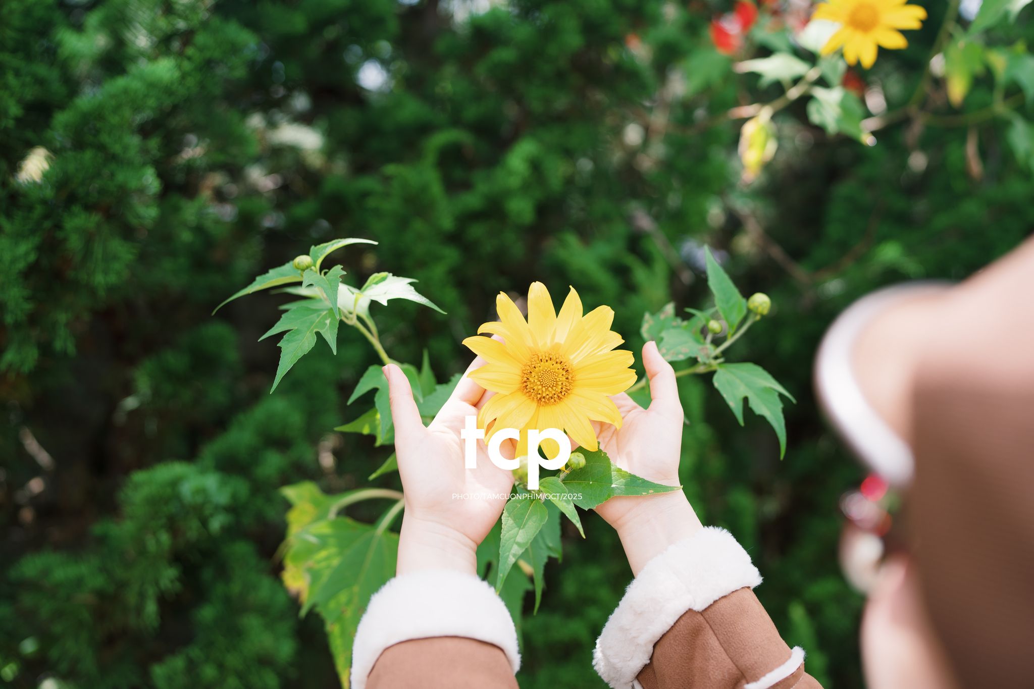 Tám Cuộn Phim - Sương lạnh và áo khoác da lộn