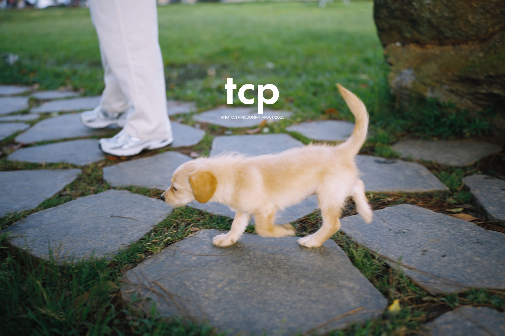 Tám Cuộn Phim - Hơi lạnh cao nguyên và những tâm hồn tự do