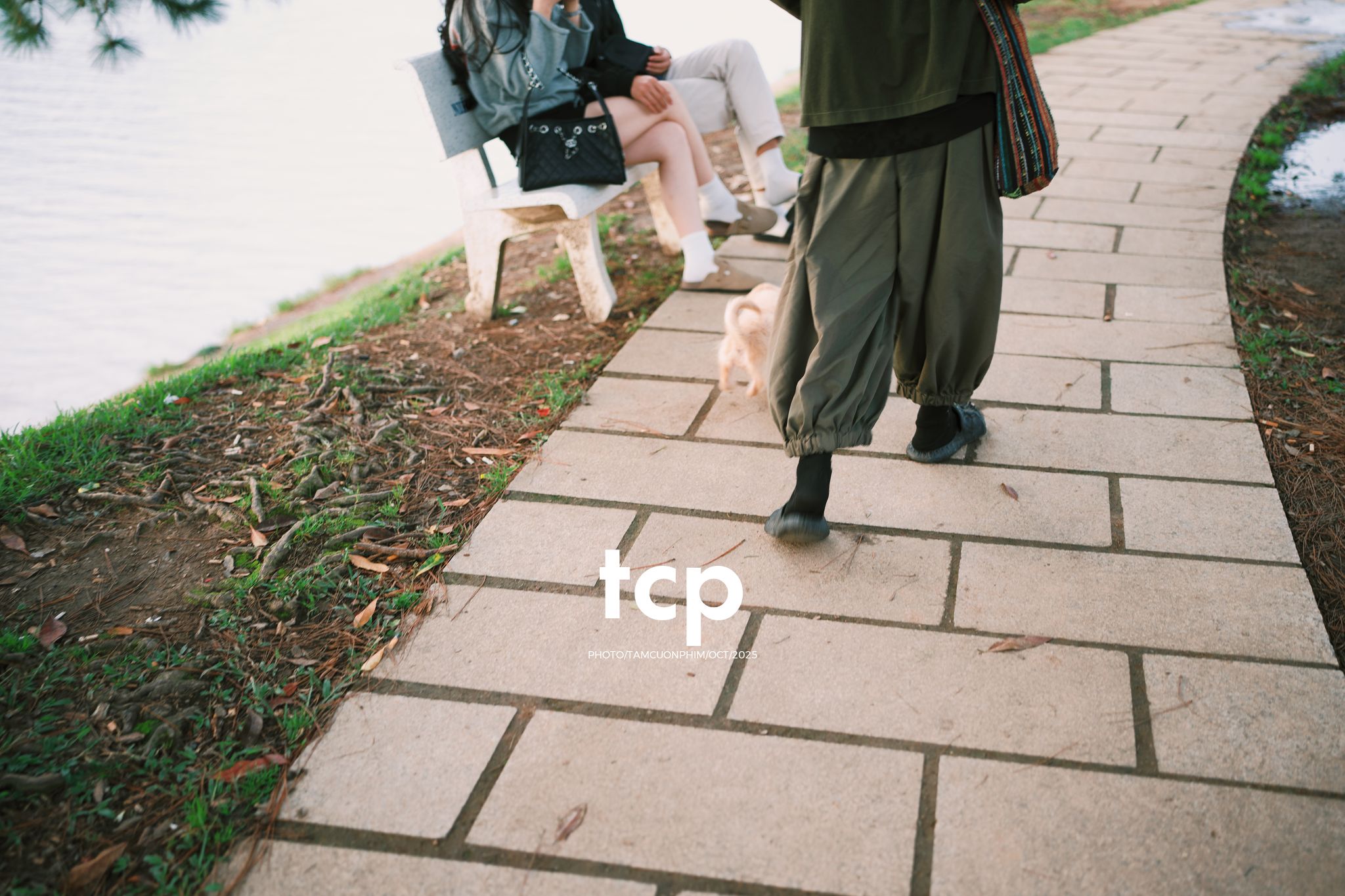 Tám Cuộn Phim - Hơi lạnh cao nguyên và những tâm hồn tự do