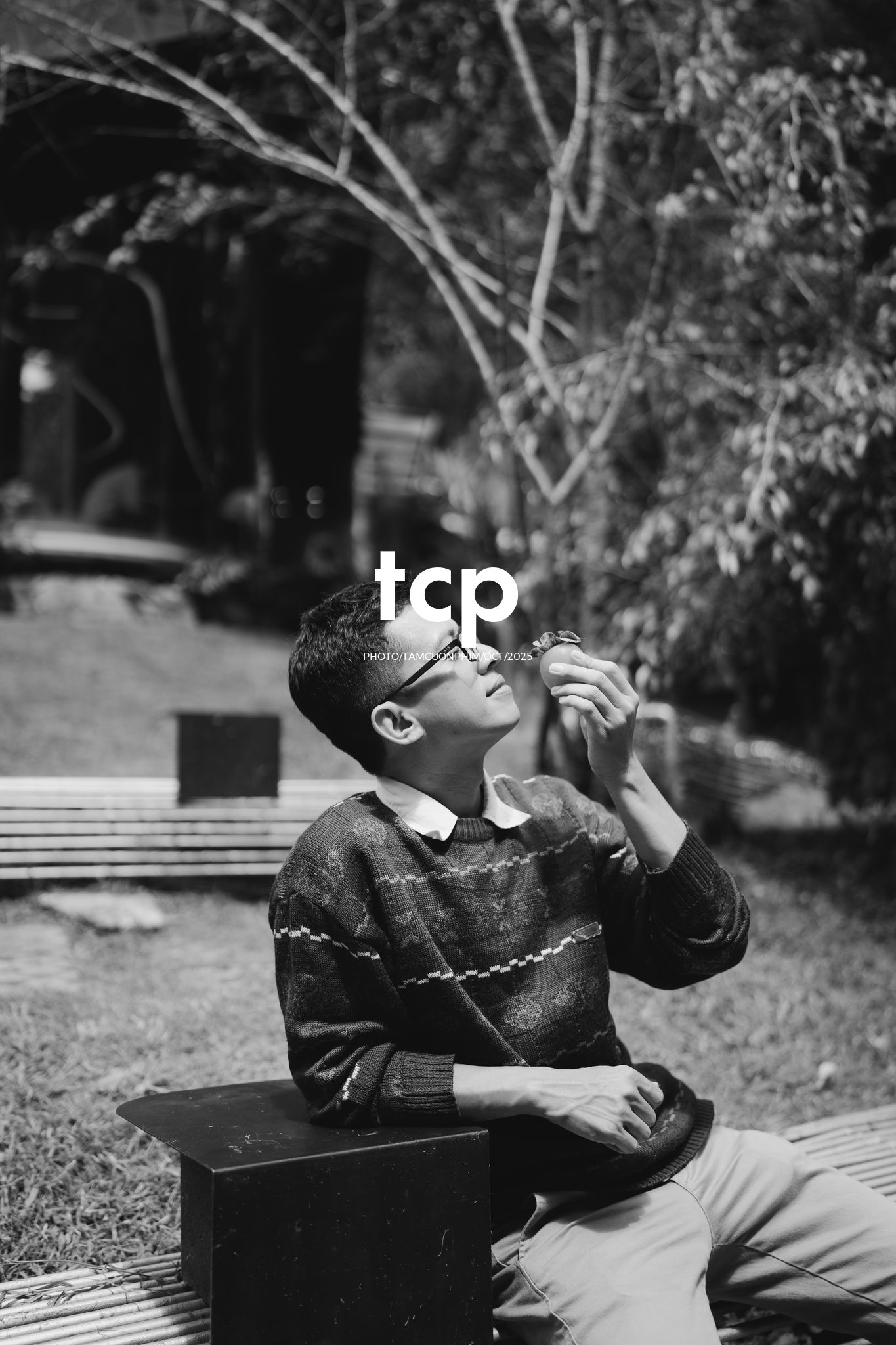 Tám Cuộn Phim - Hơi lạnh cao nguyên và tách cà phê ấm