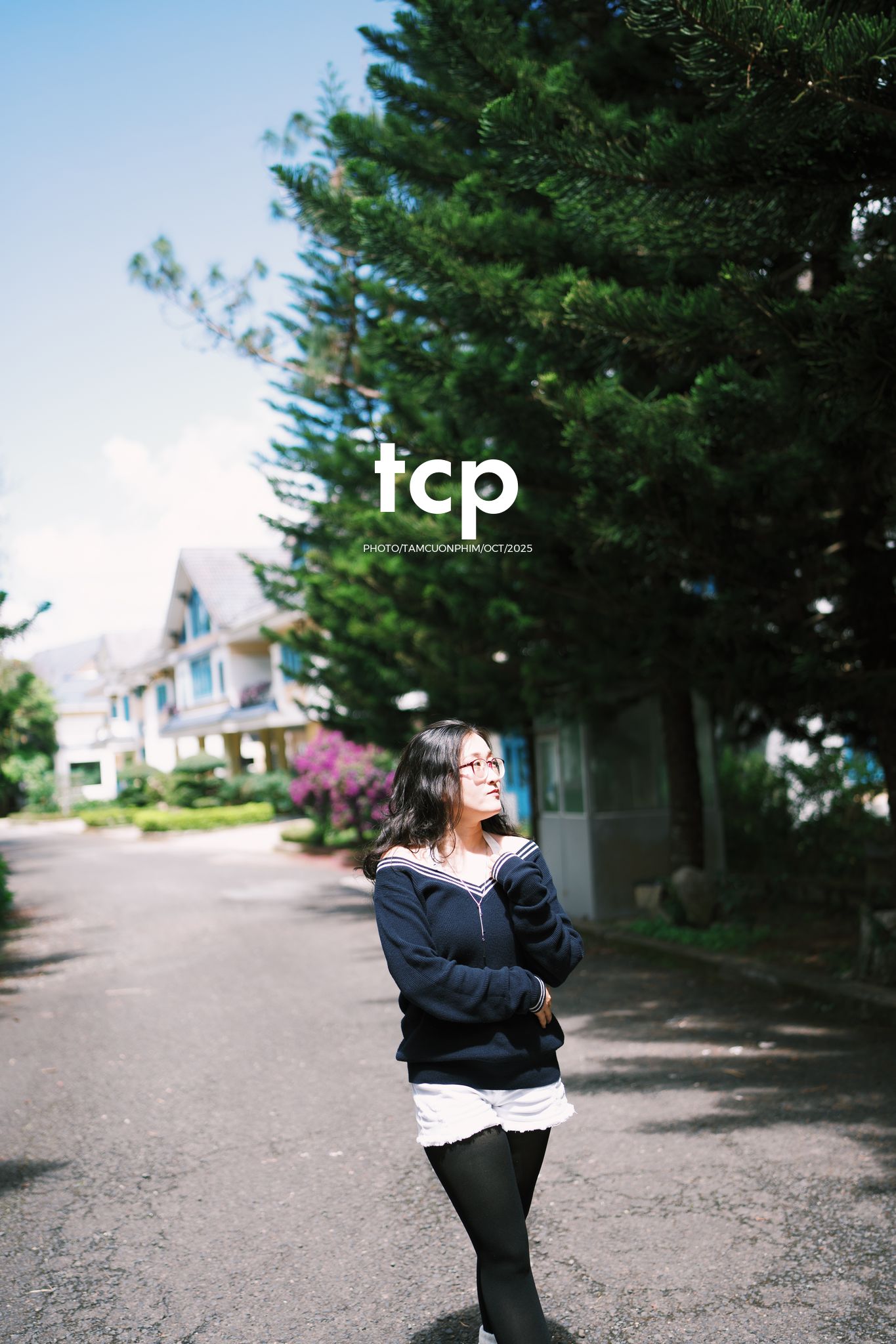 Tám Cuộn Phim - Ly cà phê đá tan chậm giữa sương mù cao nguyên