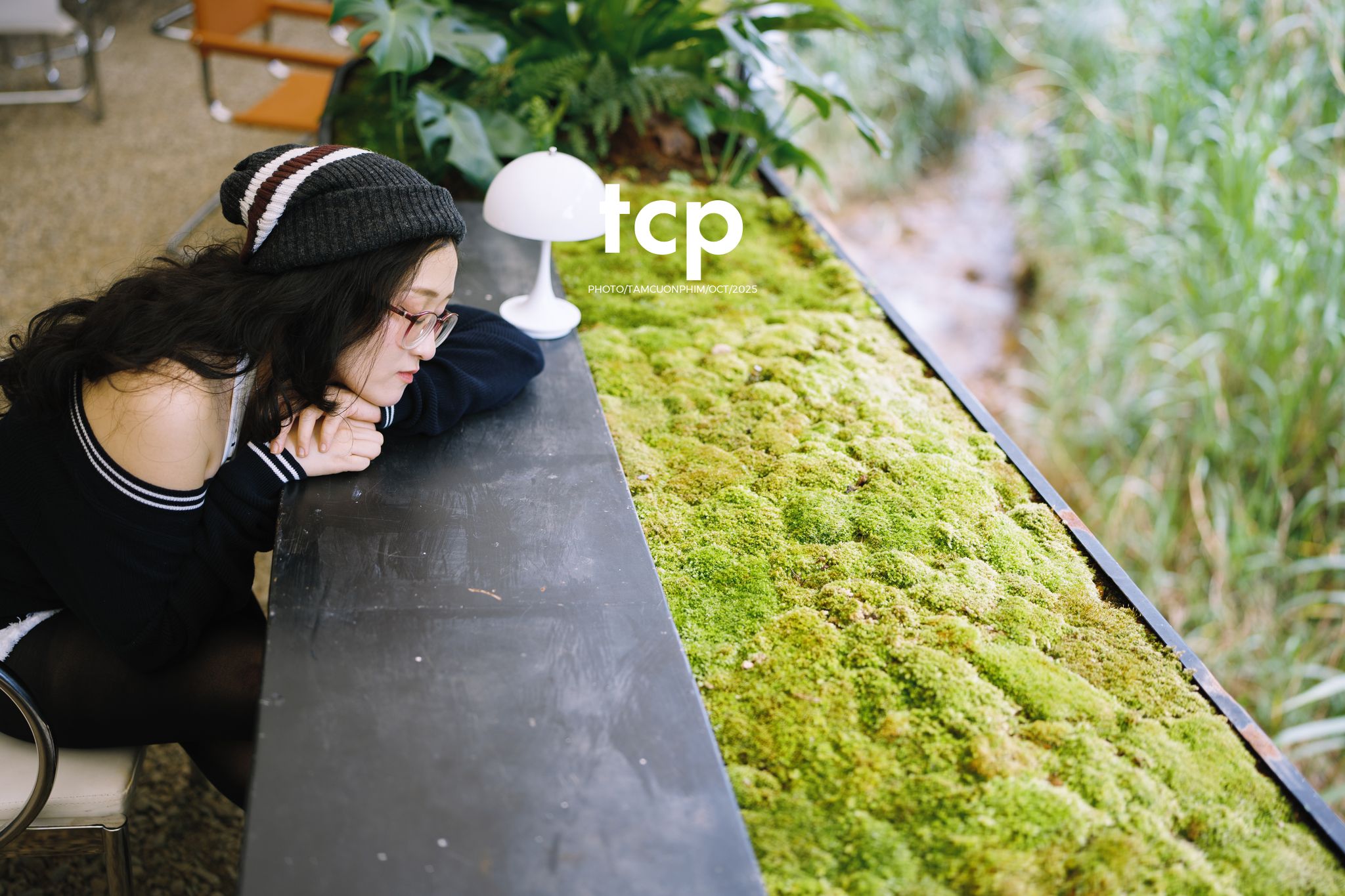 Tám Cuộn Phim - Ly cà phê đá tan chậm giữa sương mù cao nguyên