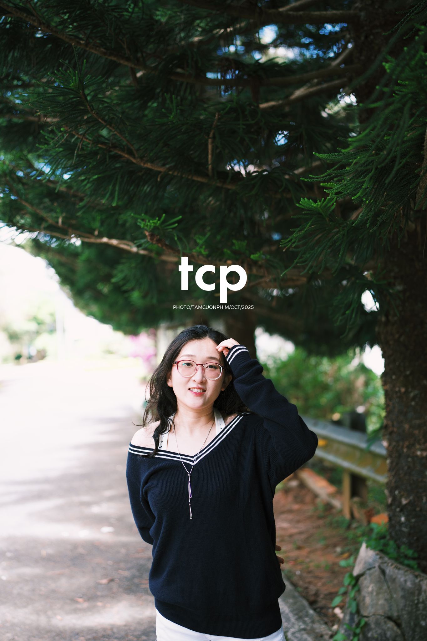 Tám Cuộn Phim - Ly cà phê đá tan chậm giữa sương mù cao nguyên