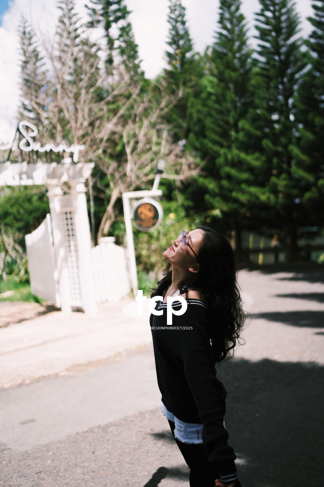 Tám Cuộn Phim - Ly cà phê đá tan chậm giữa sương mù cao nguyên