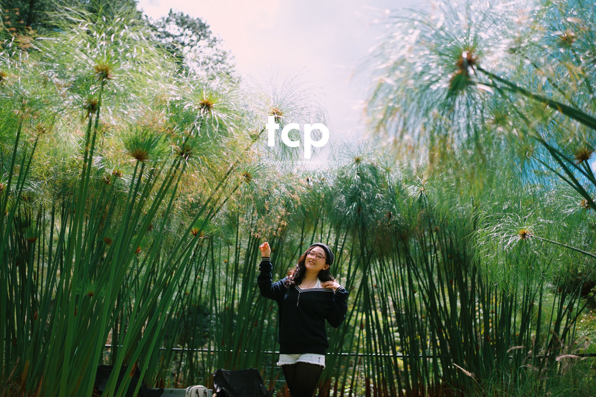 Tám Cuộn Phim - Ly cà phê đá tan chậm giữa sương mù cao nguyên