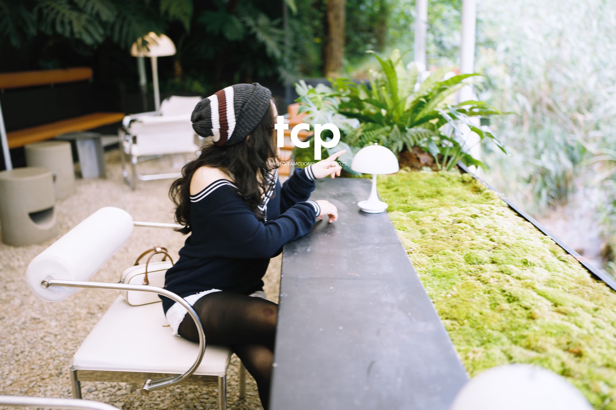 Tám Cuộn Phim - Ly cà phê đá tan chậm giữa sương mù cao nguyên