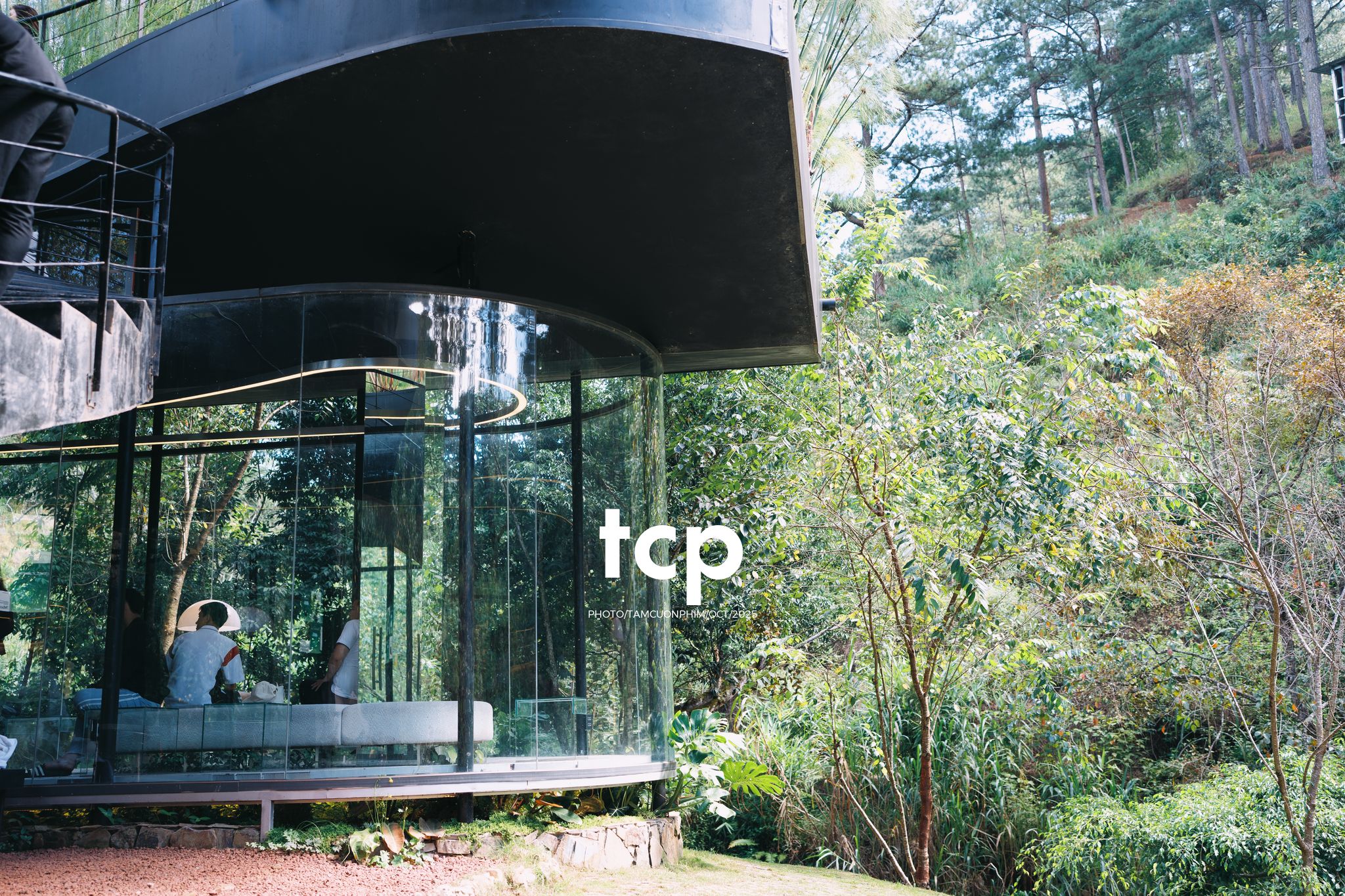 Tám Cuộn Phim - Phân cực vùng cao nguyên