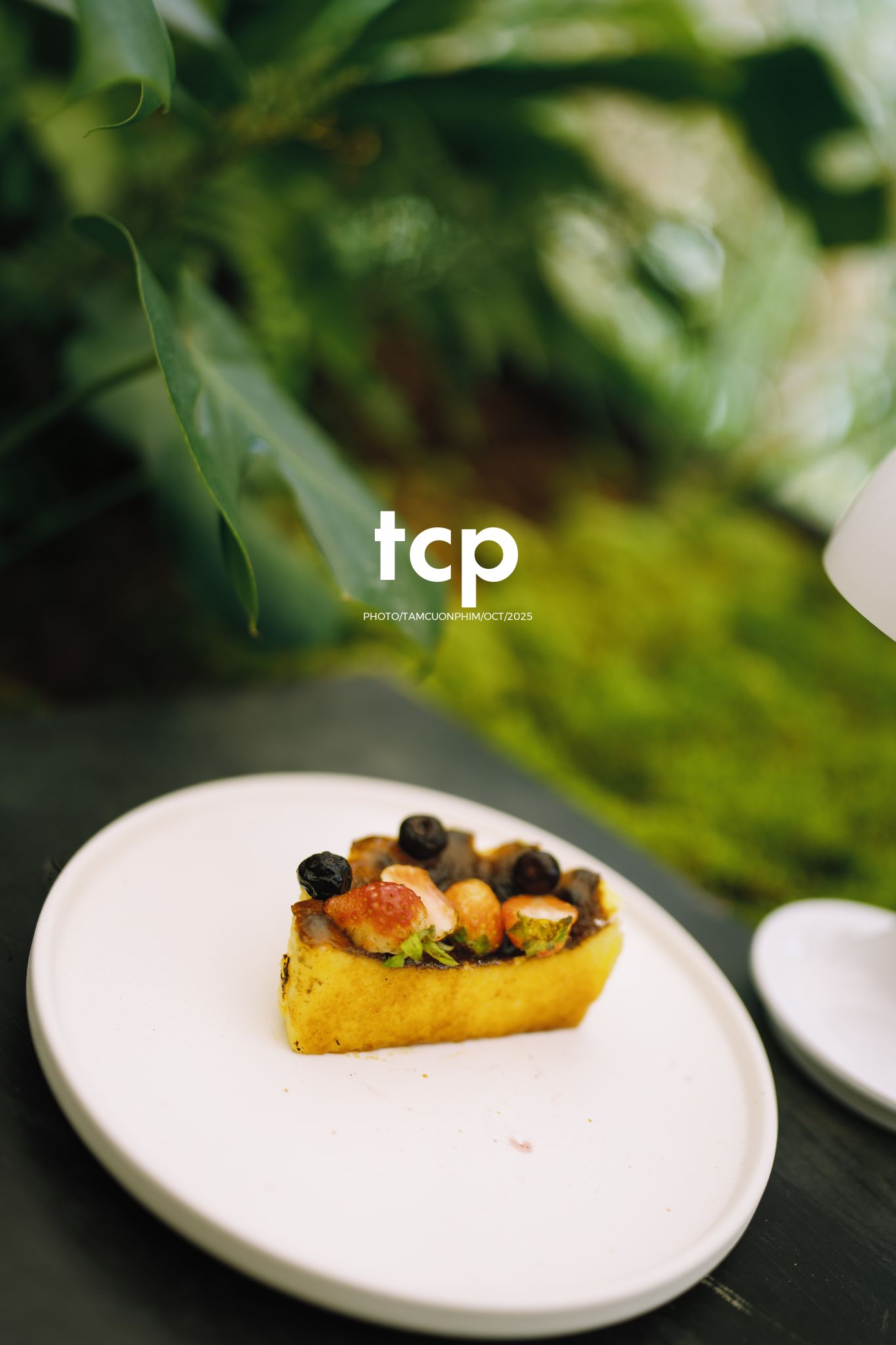 Tám Cuộn Phim - Phân cực vùng cao nguyên