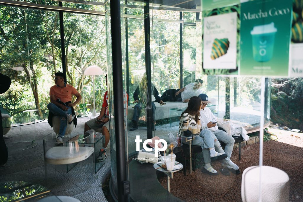 Tám Cuộn Phim - Phân cực vùng cao nguyên