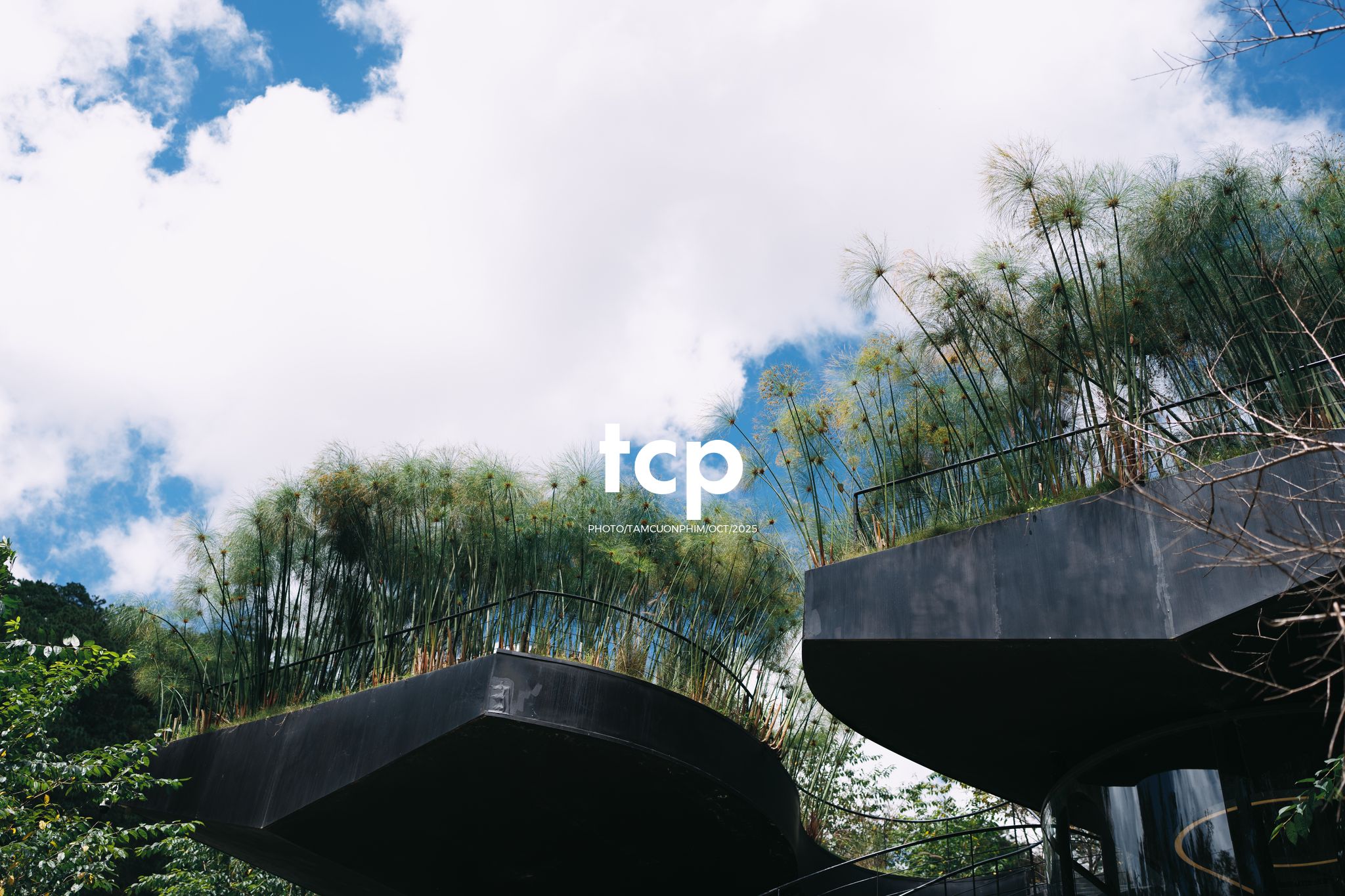 Tám Cuộn Phim - Phân cực vùng cao nguyên