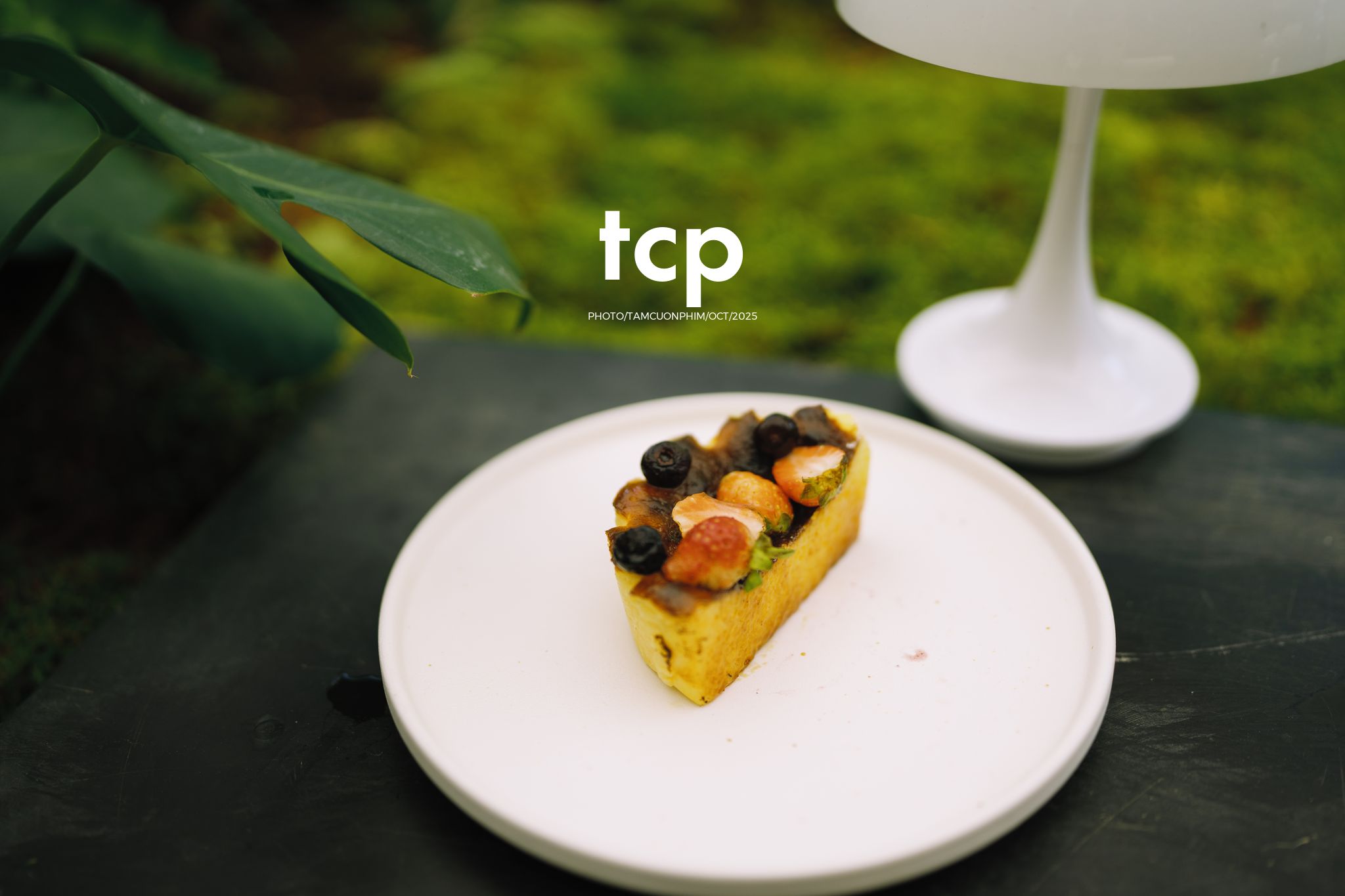 Tám Cuộn Phim - Phân cực vùng cao nguyên