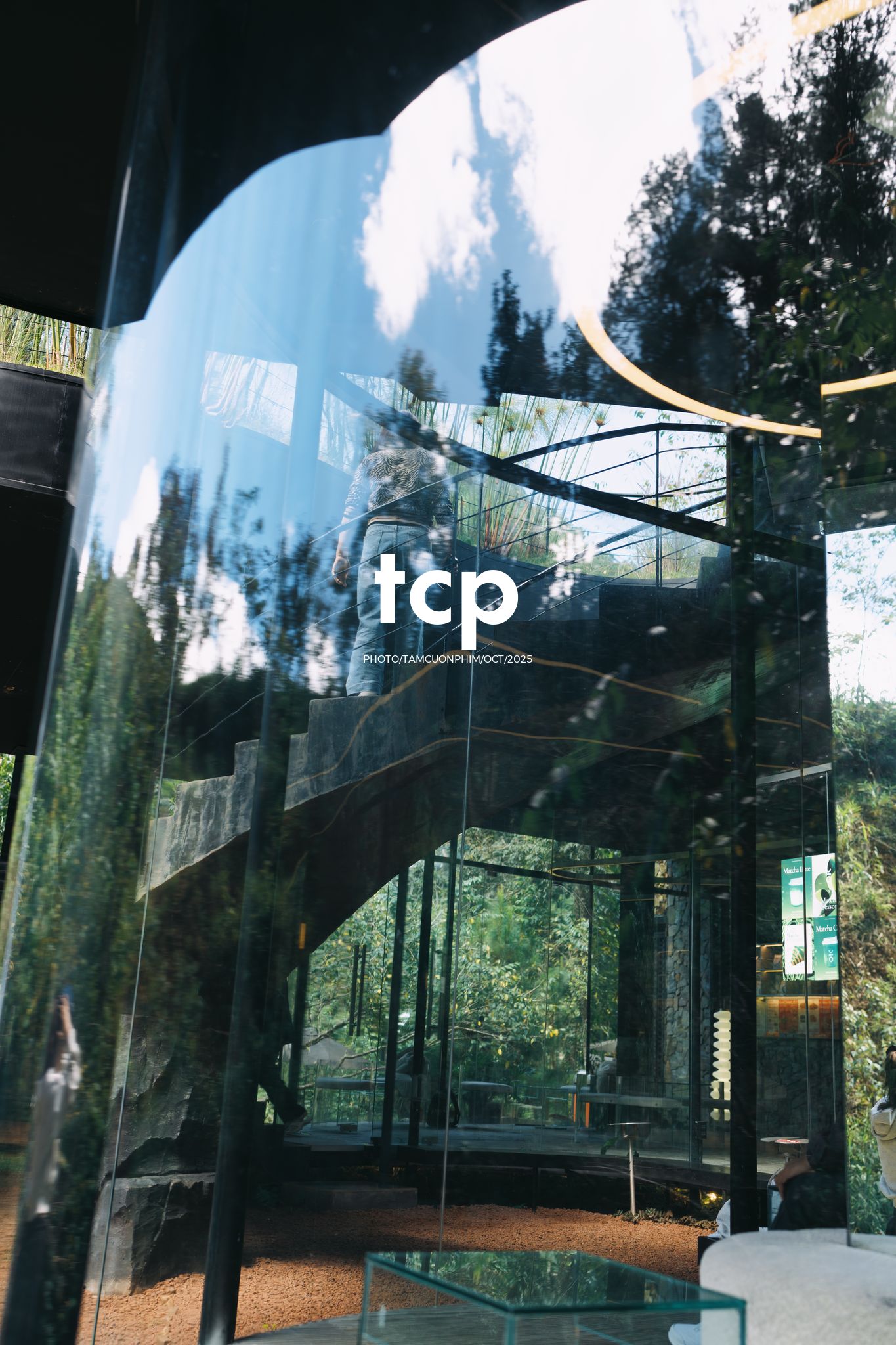 Tám Cuộn Phim - Phân cực vùng cao nguyên