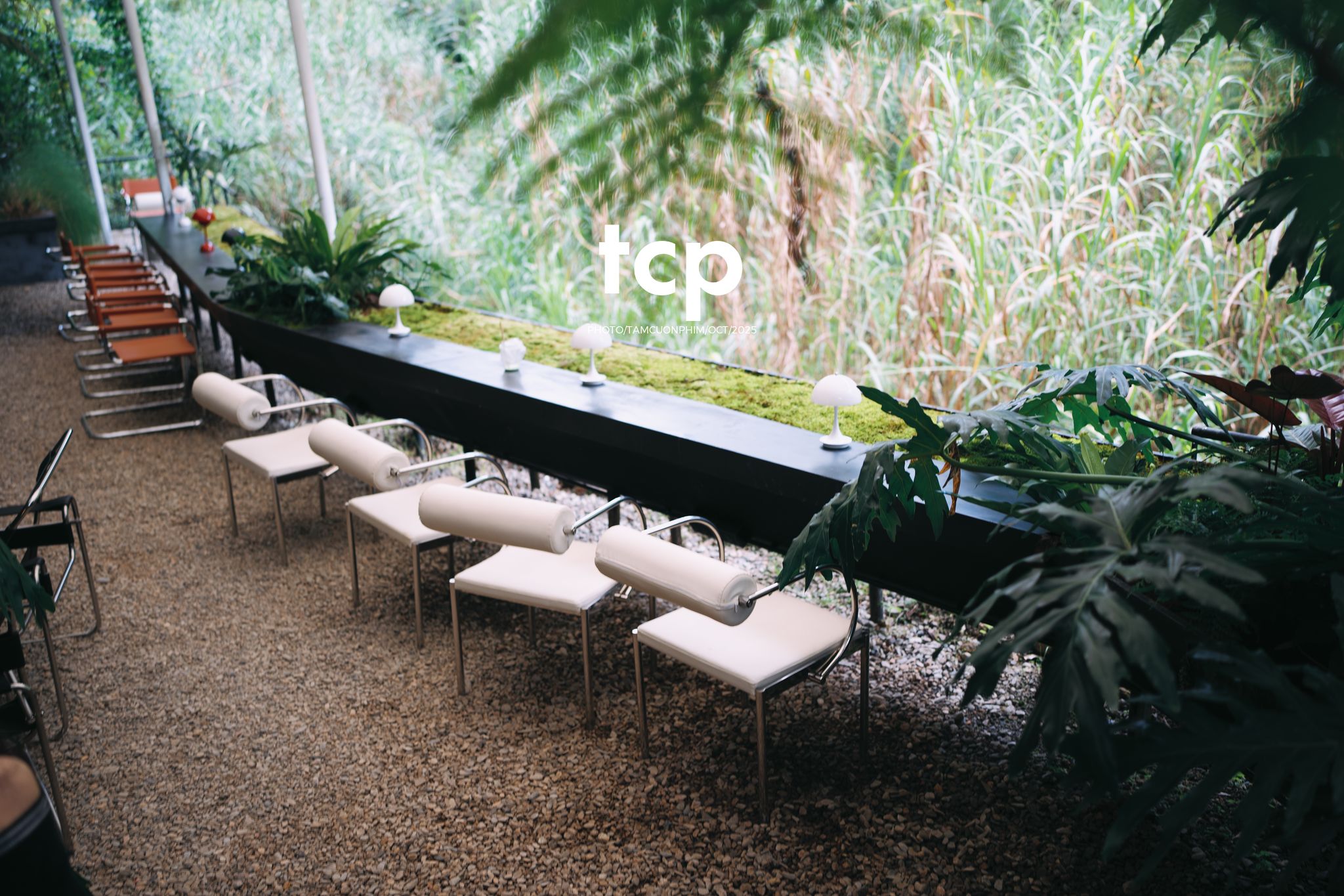 Tám Cuộn Phim - Phân cực vùng cao nguyên