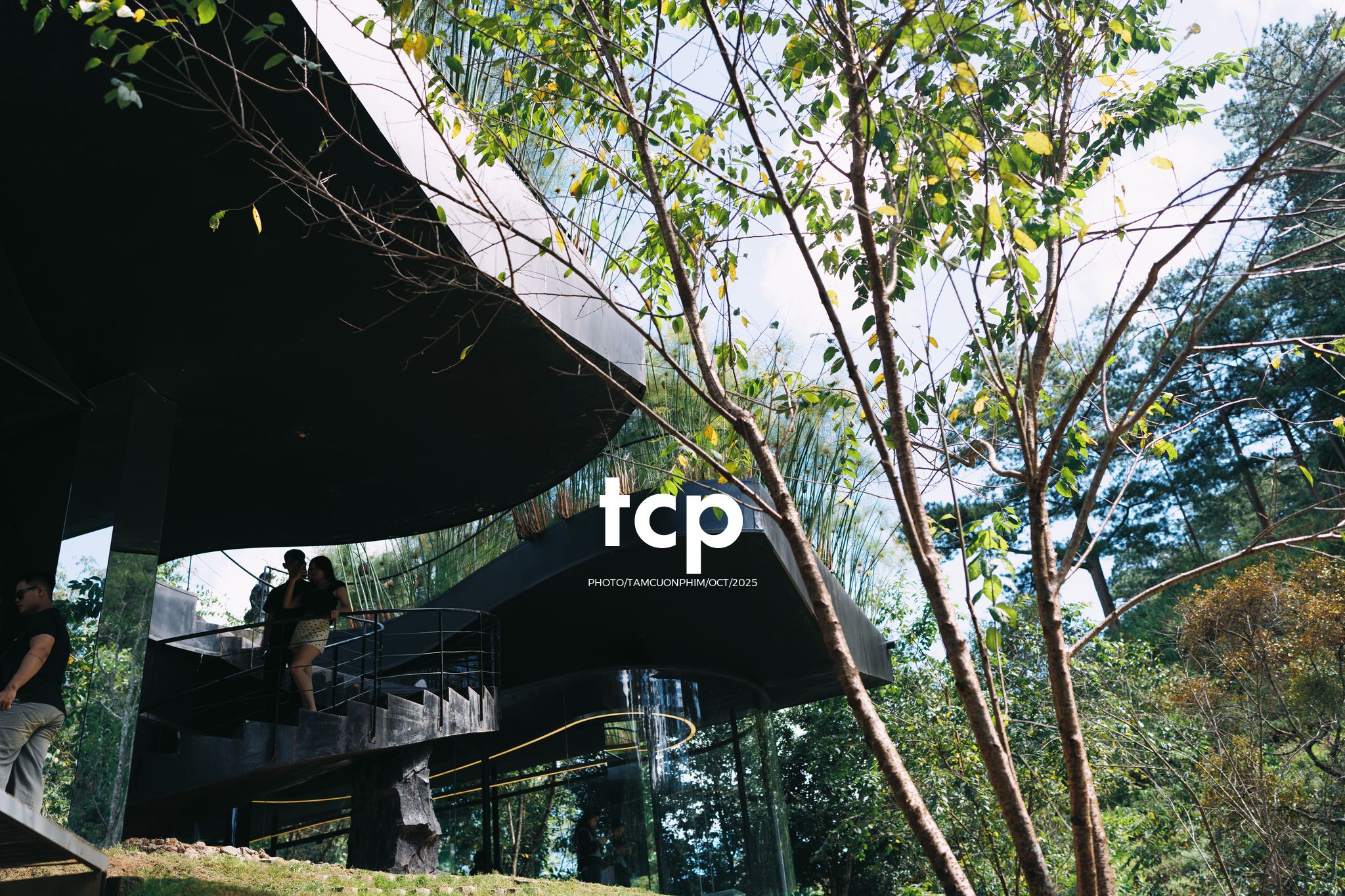 Tám Cuộn Phim - Phân cực vùng cao nguyên